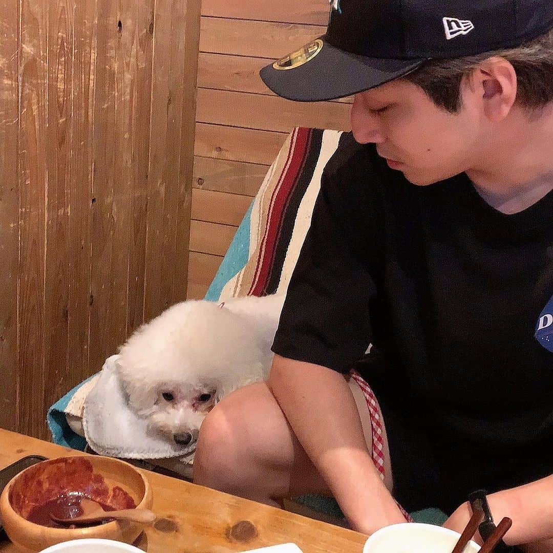 ジョージさんのインスタグラム写真 - (ジョージInstagram)「この人大好き、白たぬきちゃんって呼んでます。」8月4日 18時34分 - cb_george12