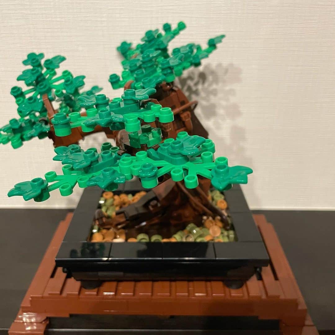 イモトアヤコさんのインスタグラム写真 - (イモトアヤコInstagram)「・ #盆栽のある暮らし  憧れますが難易度高そう まずは #LEGO盆栽 #lego」8月4日 20時36分 - imotodesse
