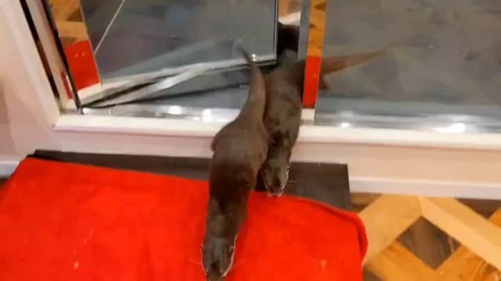 ちぃたん☆のインスタグラム