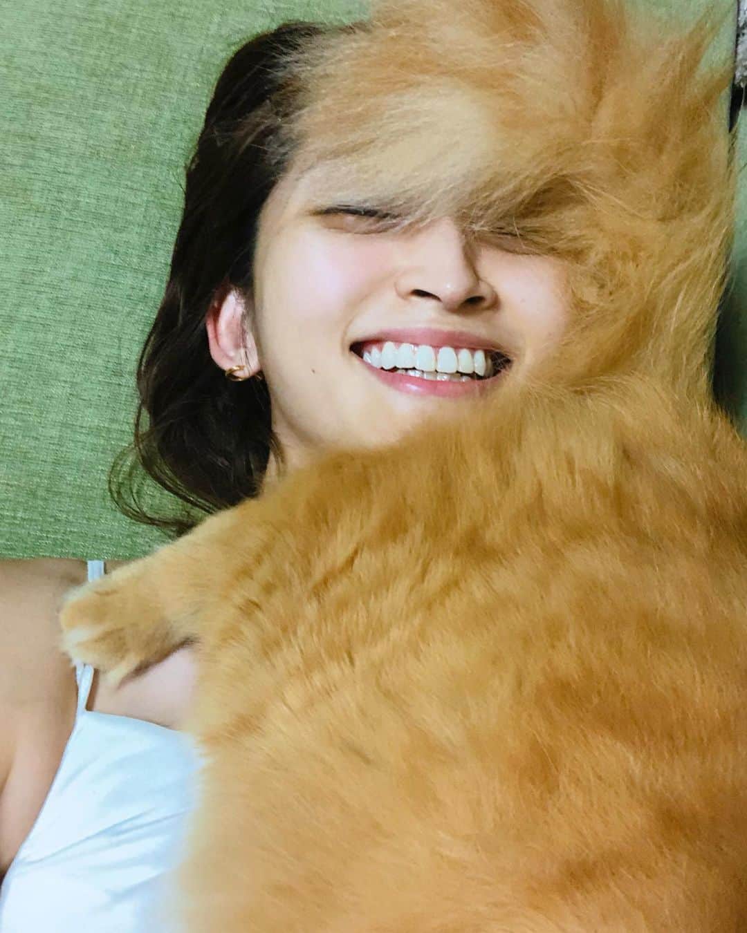 岡本玲さんのインスタグラム写真 - (岡本玲Instagram)「. 愛猫おかかよ、 何故お尻を私に向けて私のお腹ふみふみするんですか。  終いにはこのまま寝始めました🤷🏻‍♀️」8月5日 0時03分 - rei_okamoto