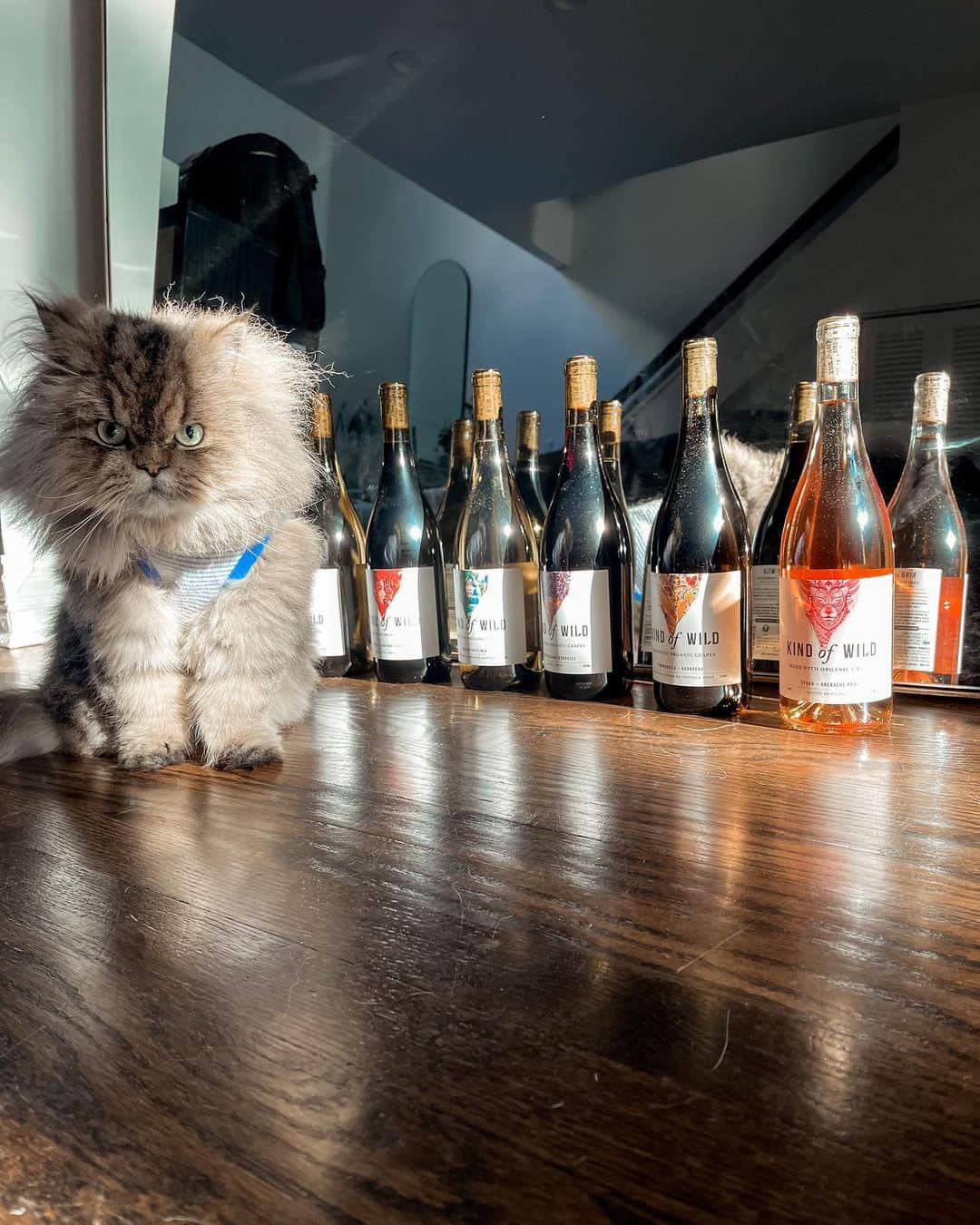 のインスタグラム：「It’s my birthday! 8 glasses of wine for every 8 sounds about right!」