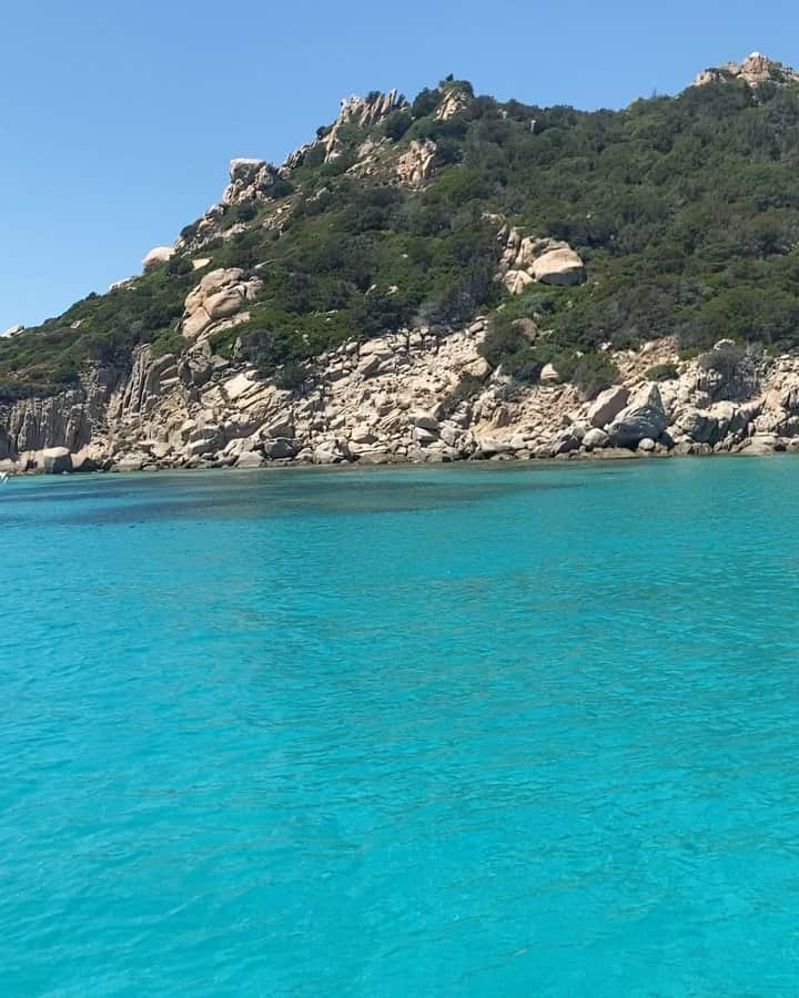 のインスタグラム：「Being born on an island also means this 🤍🐠」