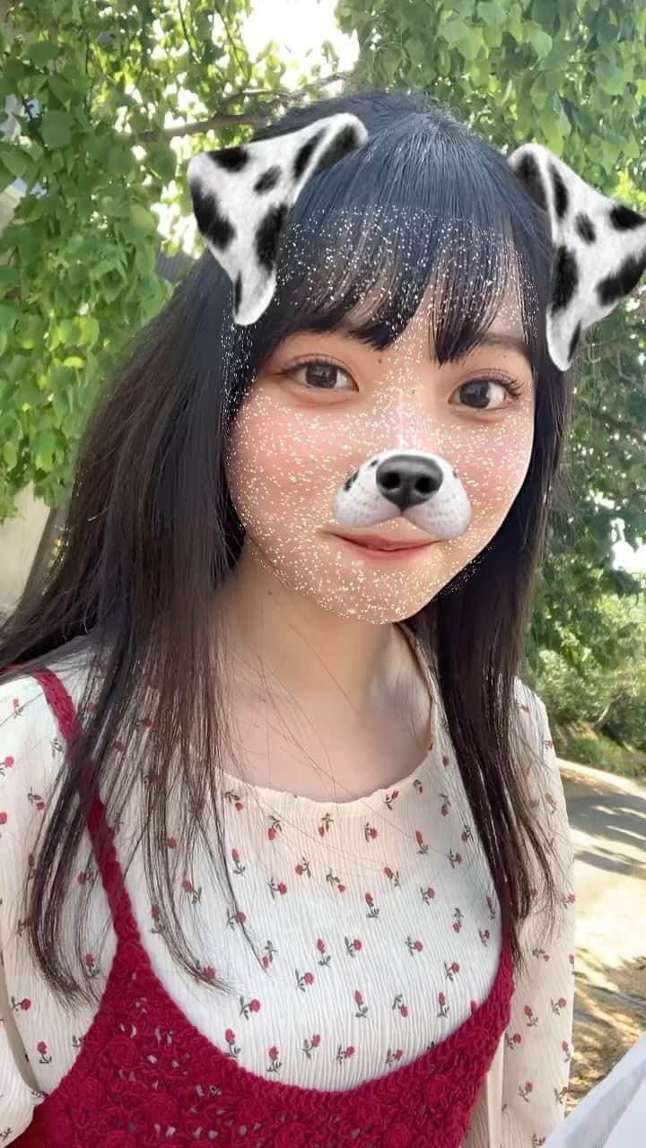 河瀬詩のインスタグラム：「・  初めてリール投稿というものをしてみます🎞  友達が色んなエフェクトで撮ってくれた！🐶   #ナナニジ  #河瀬詩  #夏の思い出  #電車旅」