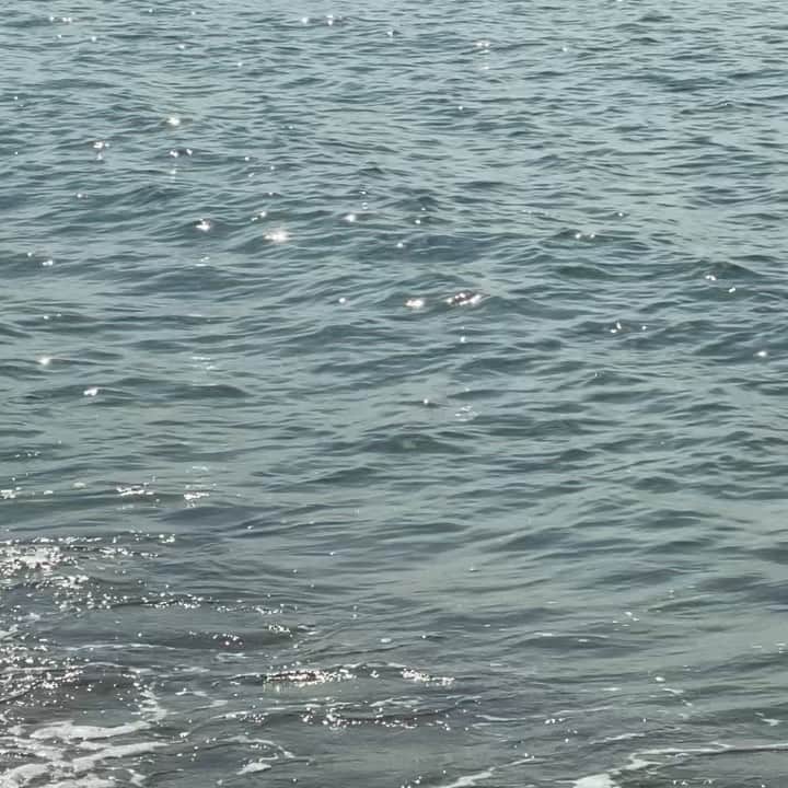 宮所舞のインスタグラム：「⛅️✨🌊🖤」