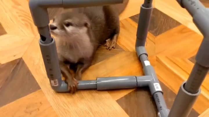 ちぃたん☆のインスタグラム