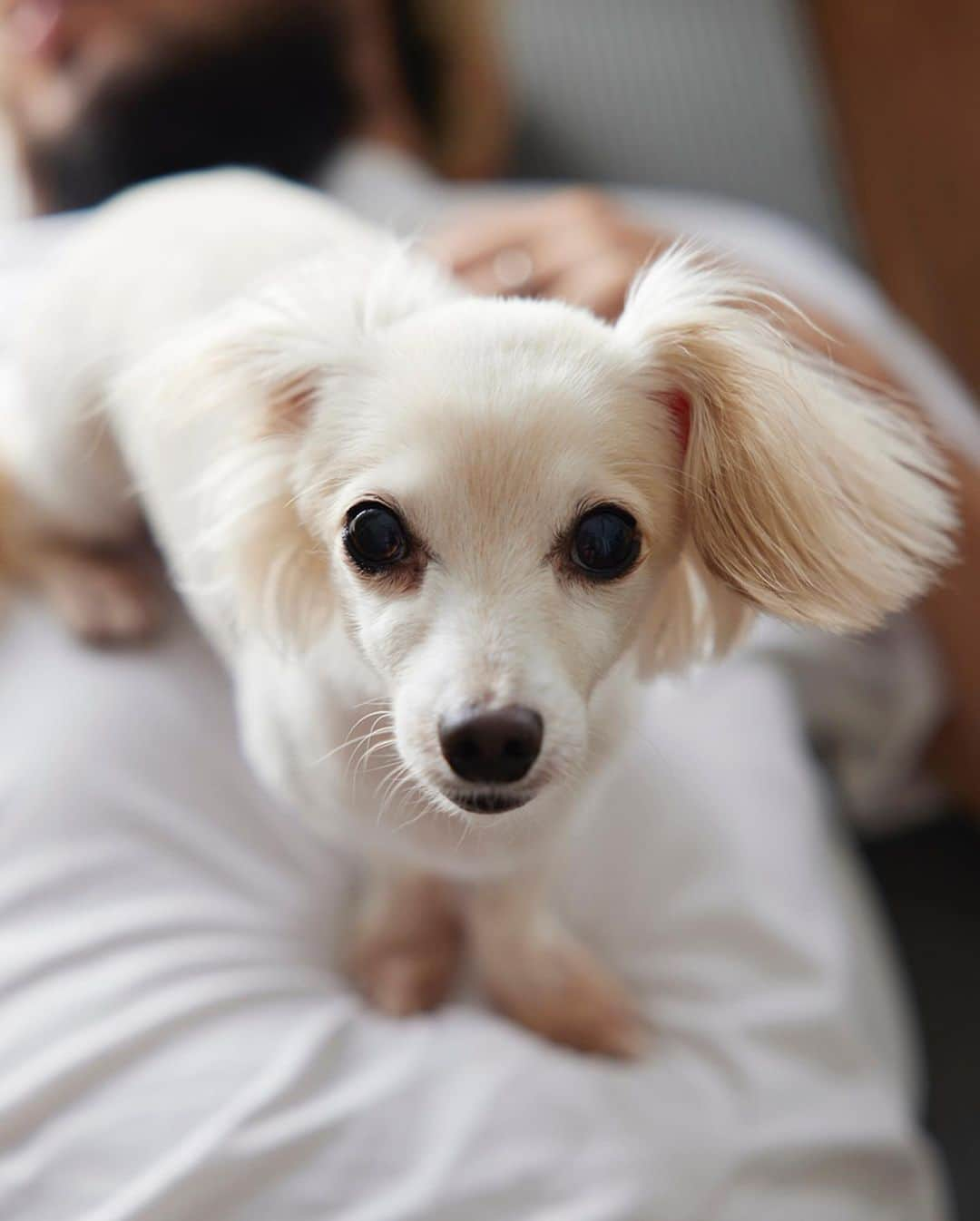 佐野円香さんのインスタグラム写真 - (佐野円香Instagram)「🧞‍♂️🐕💕」8月5日 23時44分 - madoka_sa