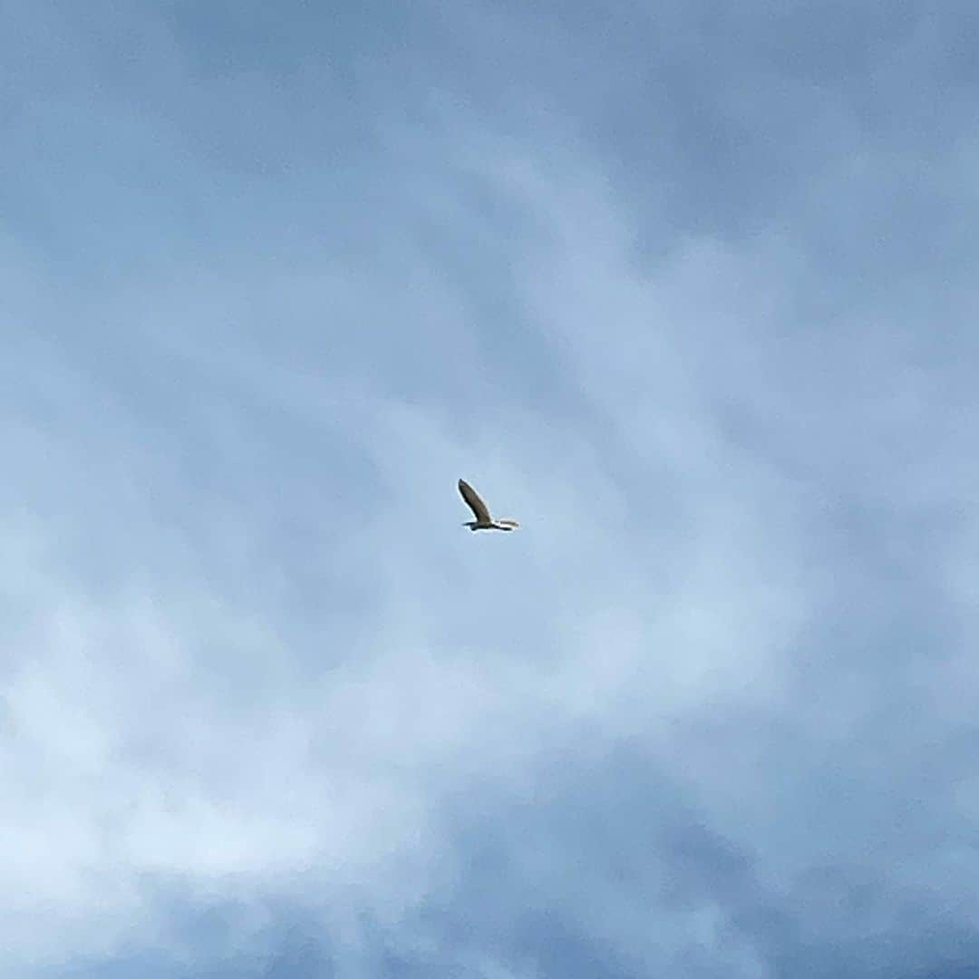 工藤村正さんのインスタグラム写真 - (工藤村正Instagram)「Nice to be countryside ❣️」8月5日 23時59分 - muramasakudo