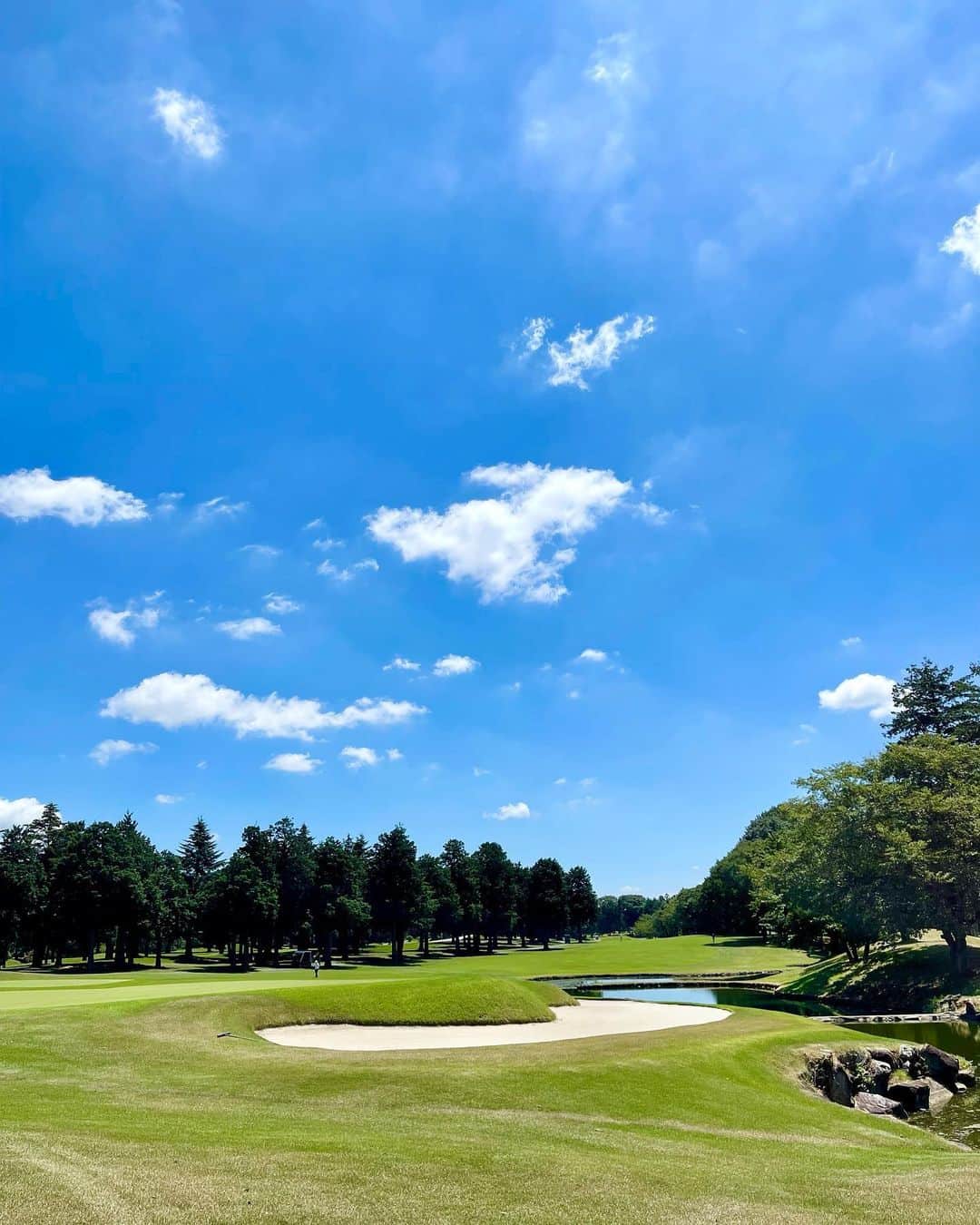 和泉佳子さんのインスタグラム写真 - (和泉佳子Instagram)「今日は、恒例の、片山真里プロのラウンドレッスンでした⛳️  今回は、 @dr.eri_takahashi_official  ちゃんからバースデープレゼントでいただいた、ブリーフィングのゴルフウェアを着用しました😊  @makikokawamura_  ちゃんとも、お揃いコーディネートでした😉💕笑  とにかく、暑さとの闘い😆💦  ラウンド中は、紫外線カット効果のあるUVボレロをやストッキングを着用して、腕のや足の日焼け対策も😉  真里さんのレッスンは、いつも親身に、具体的にアドバイスしていただき、本当にわかりやすくて勉強になります😌✨  猛暑の中、みんなで和気あいあい、今回も頑張りました🙋‍♀️💕  @briefing_official   #和泉佳子　#ゴルフ　#ゴルフコーディネート　#ブリーフィング　#ゴルフ女子  #ラウンドレッスン　#紫外線対策　#uvカット」8月6日 0時11分 - yoshiko_izumi
