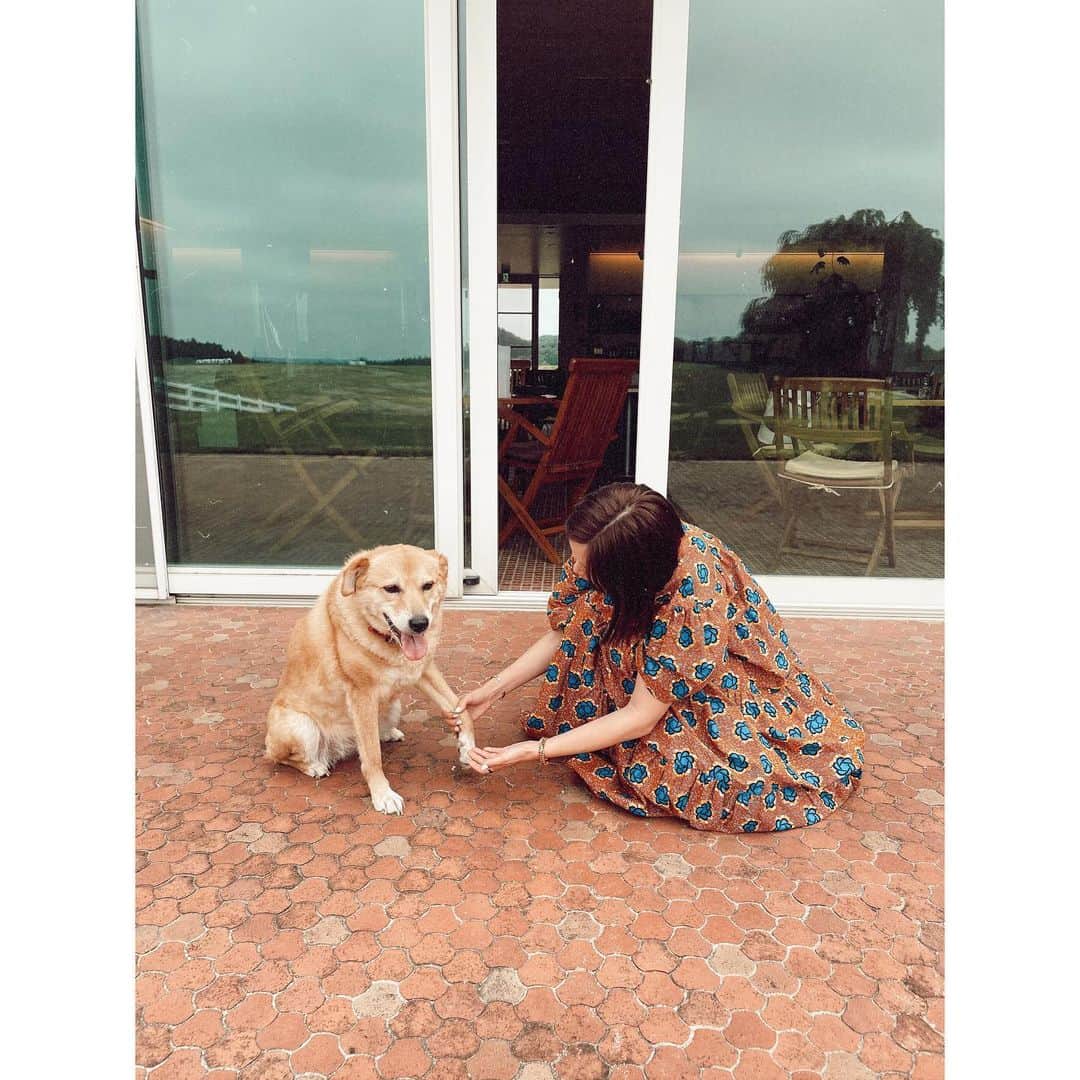 紗栄子さんのインスタグラム写真 - (紗栄子Instagram)「おはようございます🌻  今朝は久しぶりの4時半起きでしたが、とても心地の良い朝を過ごすことができました🌿  みんなが今日も笑顔で過ごせますように☺️🌻 #ラブちゃん🐕」8月6日 11時11分 - saekoofficial