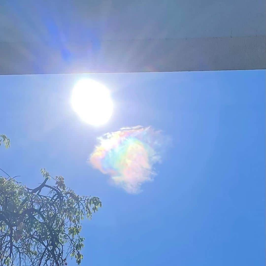 望月理恵さんのインスタグラム写真 - (望月理恵Instagram)「何気なく撮ったギラギラ太陽の 一枚。 太陽の横に虹色のうさぎ、、 に見えませんか？ (２枚目拡大) いいことありそう😋 #いいことありそう と思うことが大事(笑) #シェア #彩雲　  そして今日は各地で 猛暑でしたよね。 熱中症で病院に搬送される人が前年同時期の1・7倍に急増しているそうです。油断大敵。 十分に注意してくださいね。  明日のズムサタは 短縮バージョンです。 そのあとはオリンピック女子マラソン中継です！」8月6日 20時57分 - mochiee28