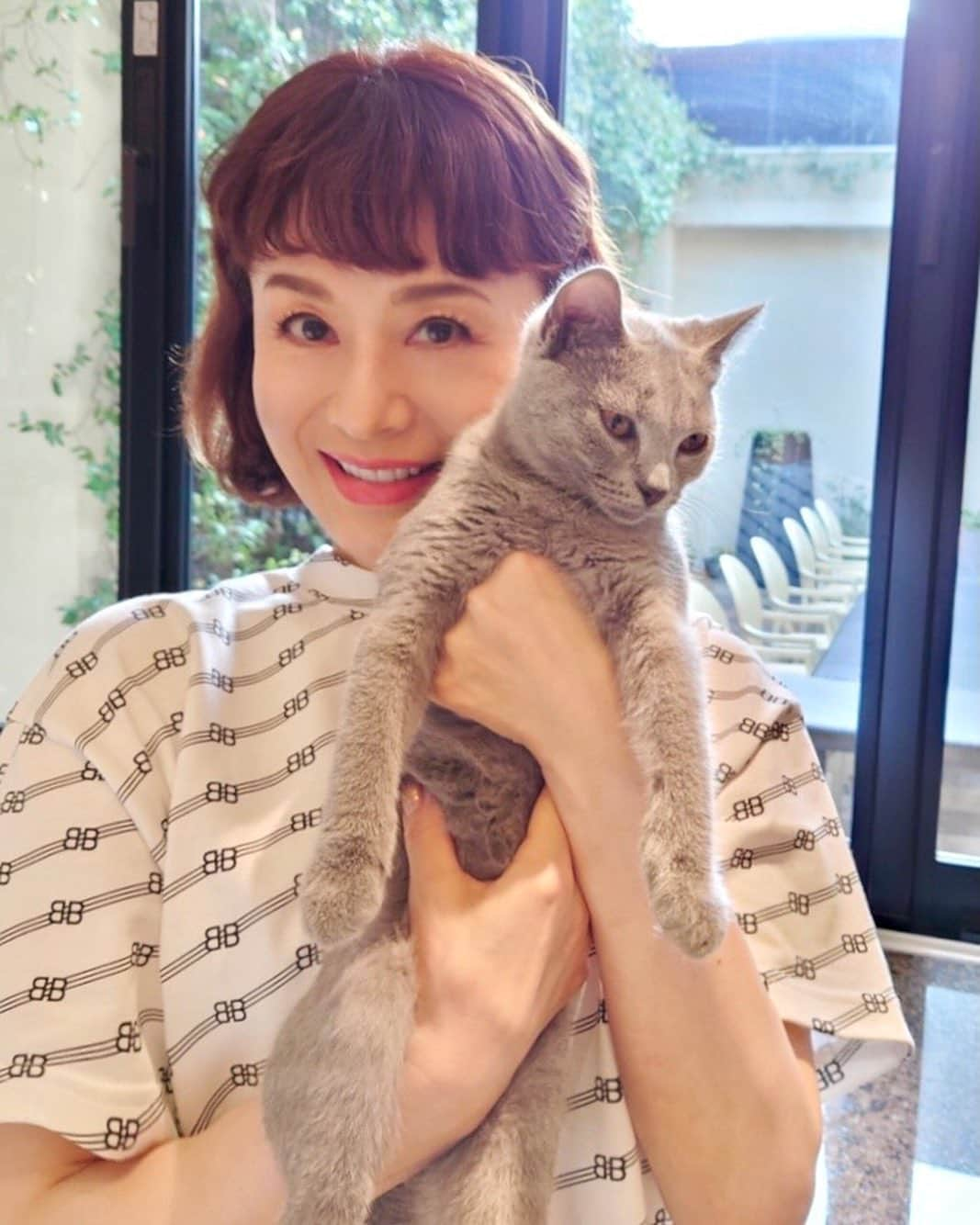 大地真央さんのインスタグラム写真 - (大地真央Instagram)「えーとボク、 このあいだ😼トリュフ😼おにいちゃんがしょうかいしてくれたスフレ🐱です うまれてから4ヶげつと6にちたちました😸 ママは、おおきくなって、ますますユニーク💞ってよろこんでます💖なんで？やっぱりまゆげ？😸  ママはスフレはきんにくしつで、すばやいうごきがとってもかわいいっていうけど、 ボクはパパがかってきてくれたウチュウセンみたいなベッドにスッーとはいるのが、いまいちばんスキなんだ😸 おしりはみられたくないけどママはかわいいかわいい💓って😻  #スフレ🐱♂ #0歳 🐈 #chartreux 😺 #ブルーグレー #まろ #まろまゆ #宇宙船猫ハウス  #猫のいる暮らし #森田恭通 #yasumichimorita #大地真央 #MAODAICHI」8月6日 21時41分 - daichimao_official