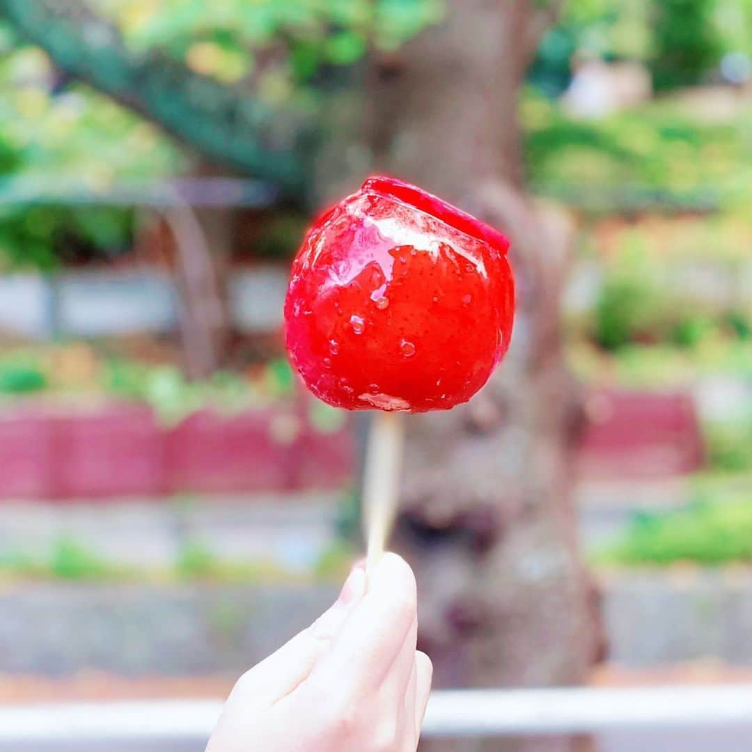 堀江由衣さんのインスタグラム写真 - (堀江由衣Instagram)「.  夏休み記念その18♪  りんご飴♪  棒がなんかぼやけてしまいました（笑） 棒だけすごいスピードで動いているみたいに見える…」8月6日 15時22分 - yuihorie_official