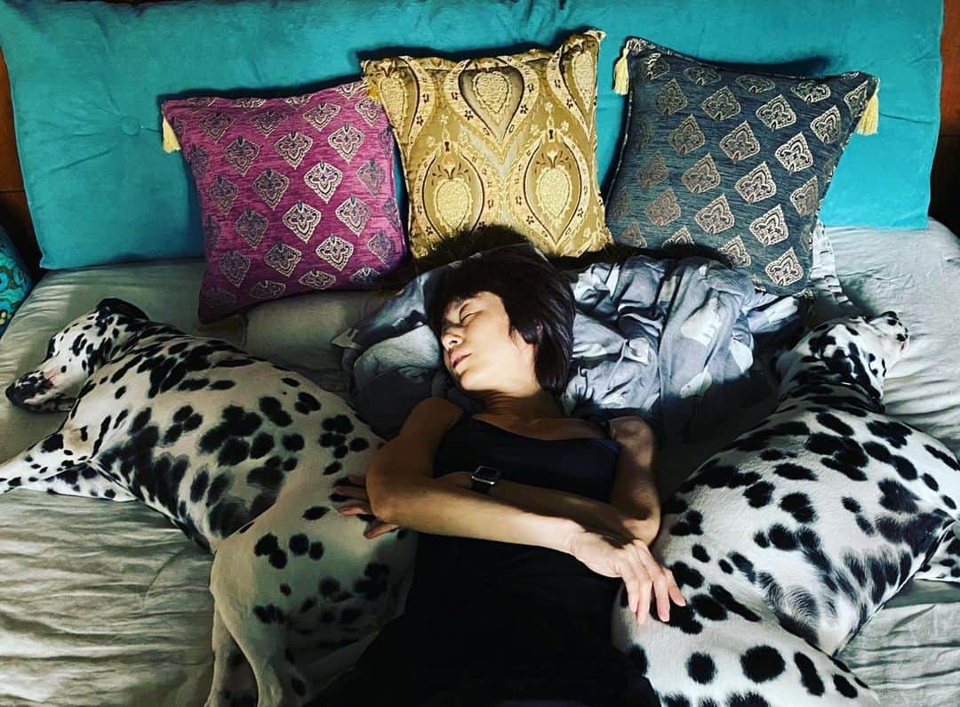 高岡早紀 さんのインスタグラム写真 - (高岡早紀 Instagram)「皆んなでお昼寝。。 だってー暑いんだもん。  #娘　#dalmatians」8月6日 17時09分 - saki_takaoka