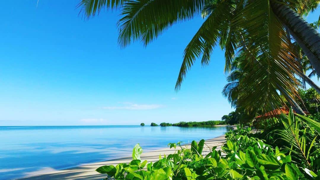 片山萌美のインスタグラム：「#定期的nature #fiji」