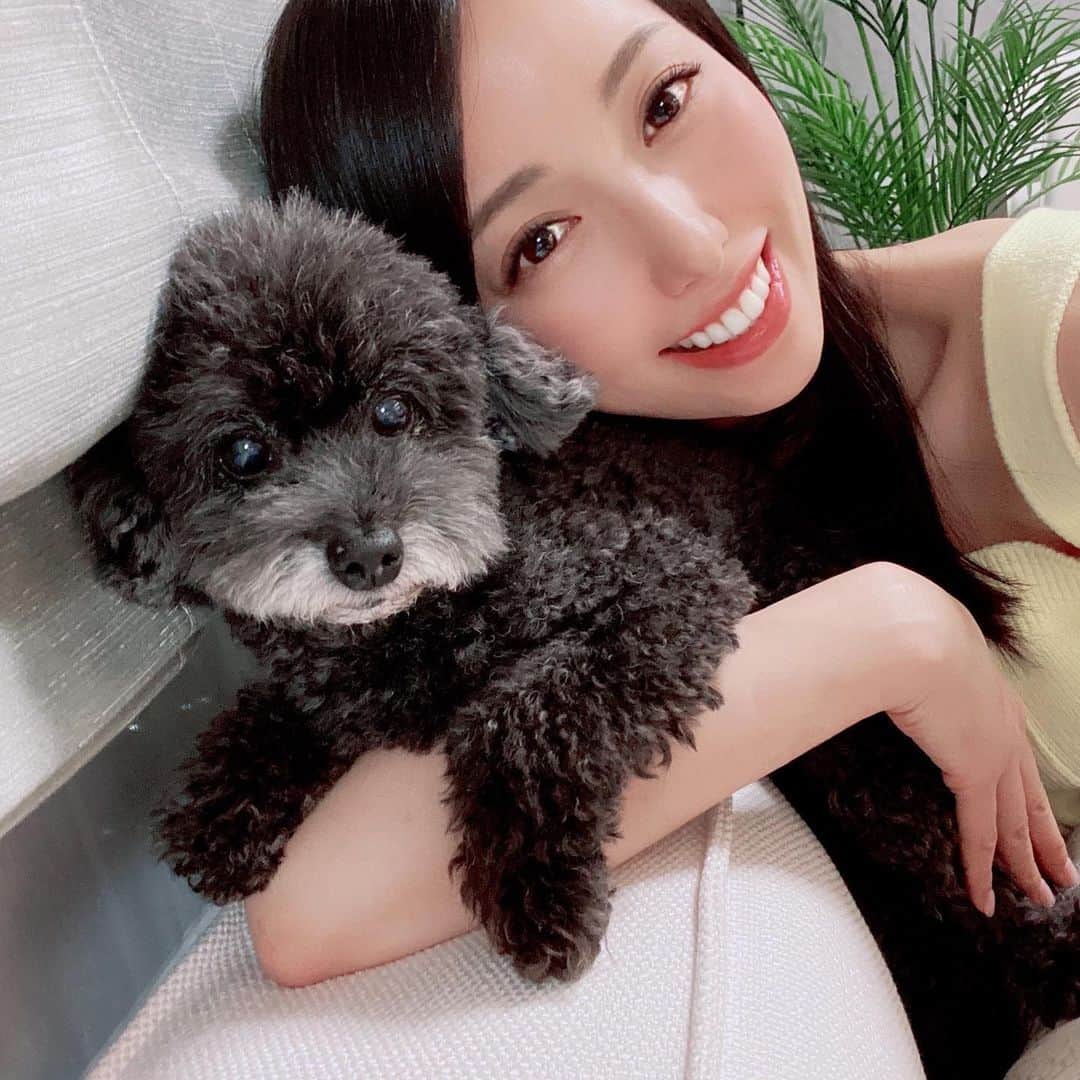 美雪ありすのインスタグラム：「気づいたら8月に入ってました😳 毎日暑いですね☀️🔥 水分、塩分を摂って熱中症に気をつけましょう☺️ 　 珍しくありお君がカメラ目線だったのでペタっ。　  #暑い夏  #乗りきろう」