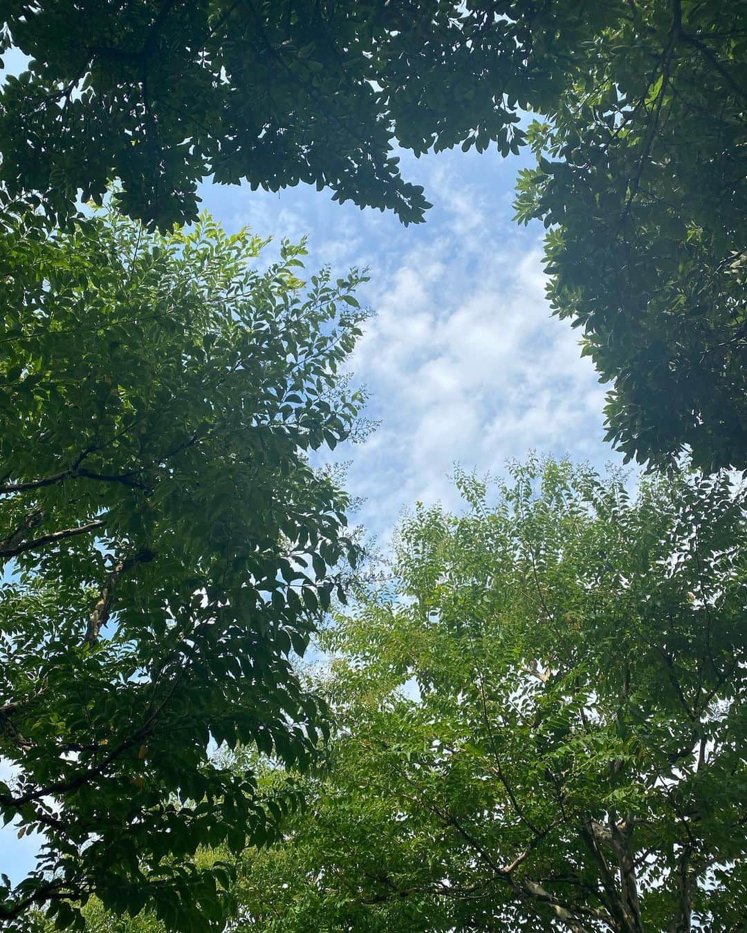 黒坂優香子さんのインスタグラム写真 - (黒坂優香子Instagram)「🌿💗✨」8月7日 15時34分 - yukakokurosaka0606