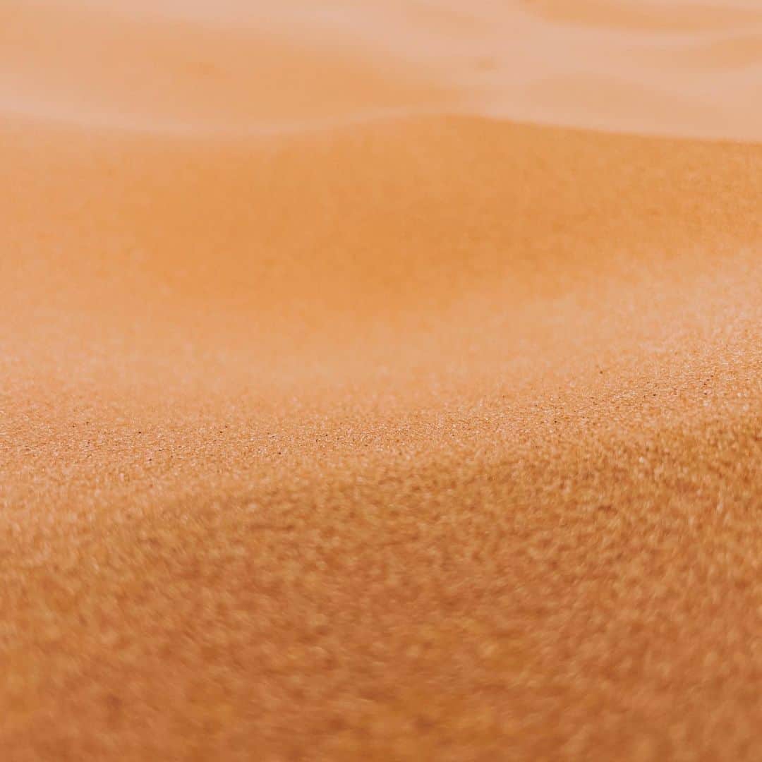Daniel Waldronのインスタグラム：「〰️」