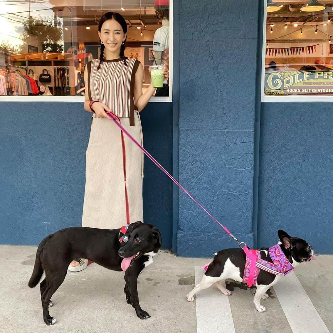 桐山マキさんのインスタグラム写真 - (桐山マキInstagram)「. . . new one peace ♡ @anogh_official   at dog cafe🐕‍🦺  写真の流れは 2枚目から順番に  ココワカメさんご機嫌さん  ⇩  遊ぼ遊ぼとかまってくれる  ⇩  比較的 すぐ飽きられる  ⇩  ココちゃん！ と呼んでも 無視される  小春姉さんは 穏やかに見守る  いつものコースであります♡  ハーネスと同じ柄で ハンドメイドで ヒエヒエネックを 小春ちゃんの お誕生日プレゼントで頂きました🎁 @shokoshokom  ありがとう♡  #japan #love #fashion #onepiece  #anogh #myfavorite  #new  #summer #lovely  #2way #dog #rescuedog  #miyakojima  #cute #愛犬 #宮古島から来た保護犬 #ココワカメさん #明るい性格 #しっかり者 #おっかさん #もうちょっとだけかまってほしいょ #遊んでもらってます #いつもありがとう #愛娘達ょ #🐕‍🦺🐕‍🦺 #❤️」8月7日 21時10分 - maki_kiriyama