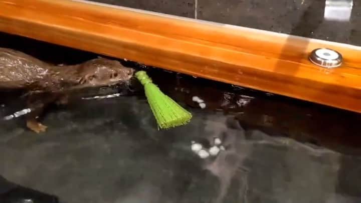 ちぃたん☆のインスタグラム