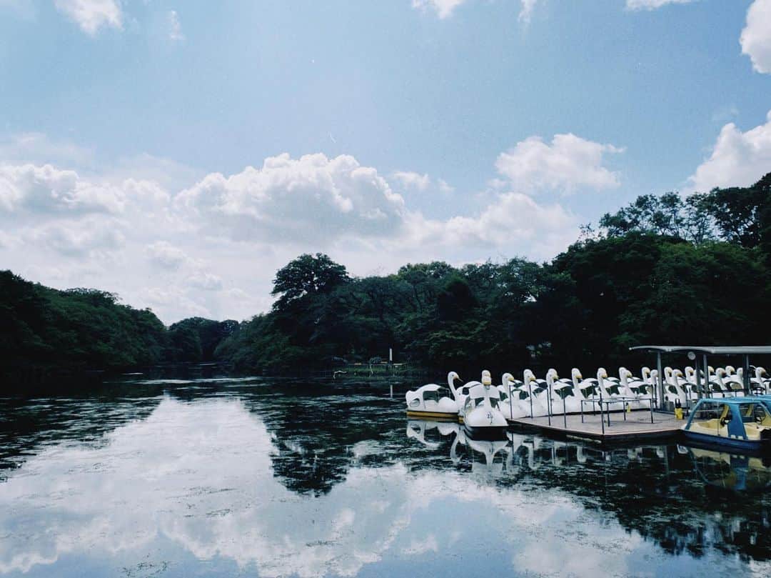 上坂樹里さんのインスタグラム写真 - (上坂樹里Instagram)「アヒルボートだと思ってたら スワンボートでした🐤 懐かしい。。  #film #ミスセブンティーン2021 #上坂樹里」8月7日 21時44分 - juri_kosaka