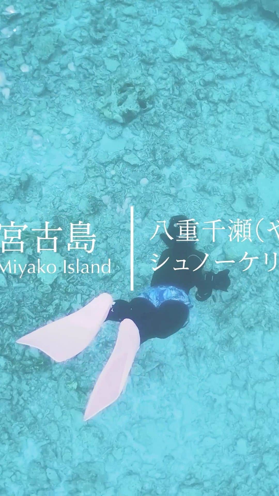 6151のインスタグラム：「初めてのシュノーケリング体験。八重干瀬の天然記念物、珊瑚礁を宮古島の海に潜って探してきました。  あいにくの雨模様だったけど、海の中では問題なし。久しぶりの海の中は相変わらず気持ち良かった。  次はダイビングがしたい。  ---   沖縄県宮古島の旅 Hanako No.1199 / 9月号  @hanako_magazine #HanakoTravel  掲載中です。」