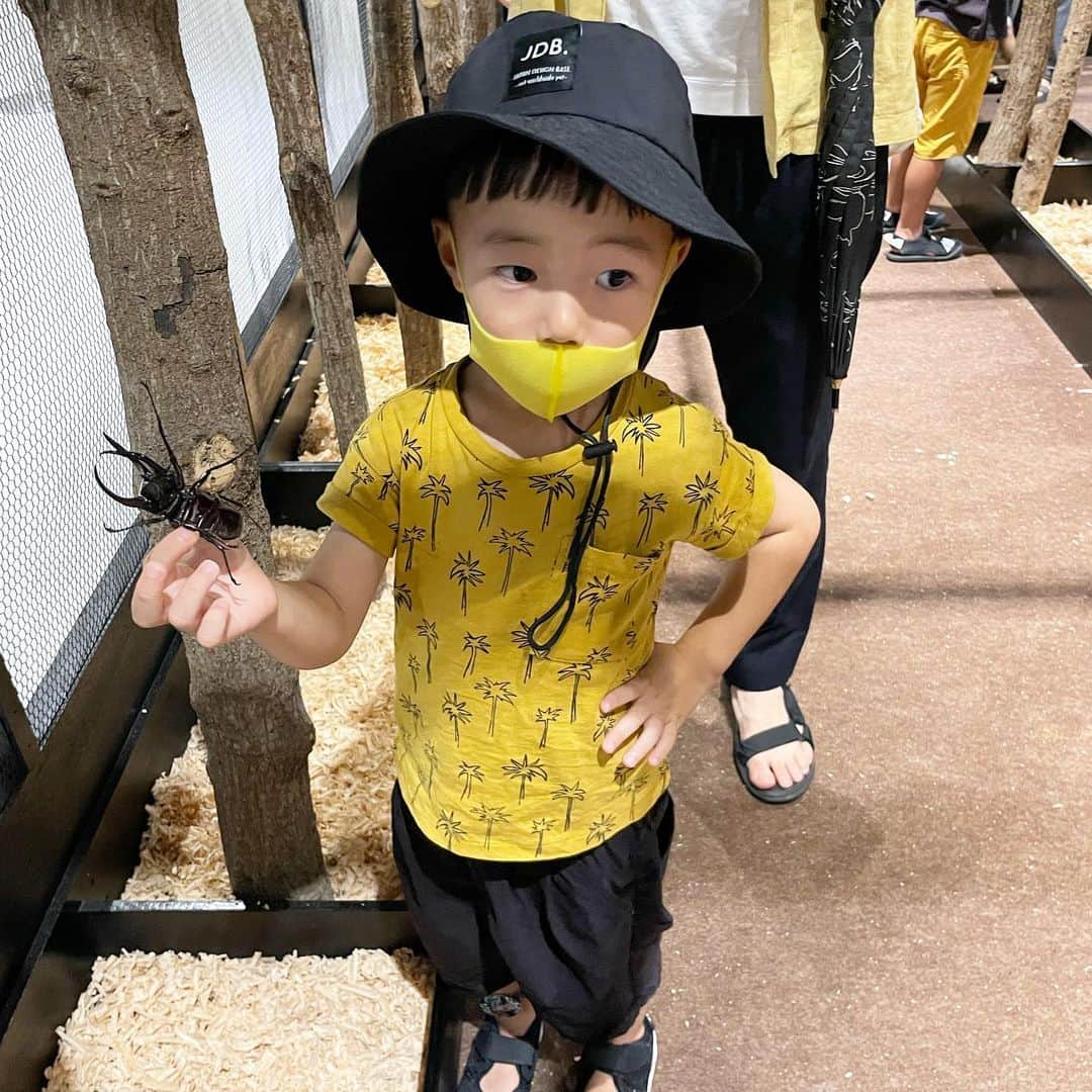 のインスタグラム：「ある日の休日☀️ . 夏をギュッと詰め込んだ日🍉🦗🏞 . 一緒に思い出👨‍👩‍👦‍👦💞 . リョータ4歳👦🏻シュンタ1歳👶🏻の夏は今だけ💞 . 7枚目の動画は音量注意です😂🙏🏻 . #リョータの夏遊び🍉  #リョータとシュンタ  #シュンタの夏遊び🍉  #福岡ママ」