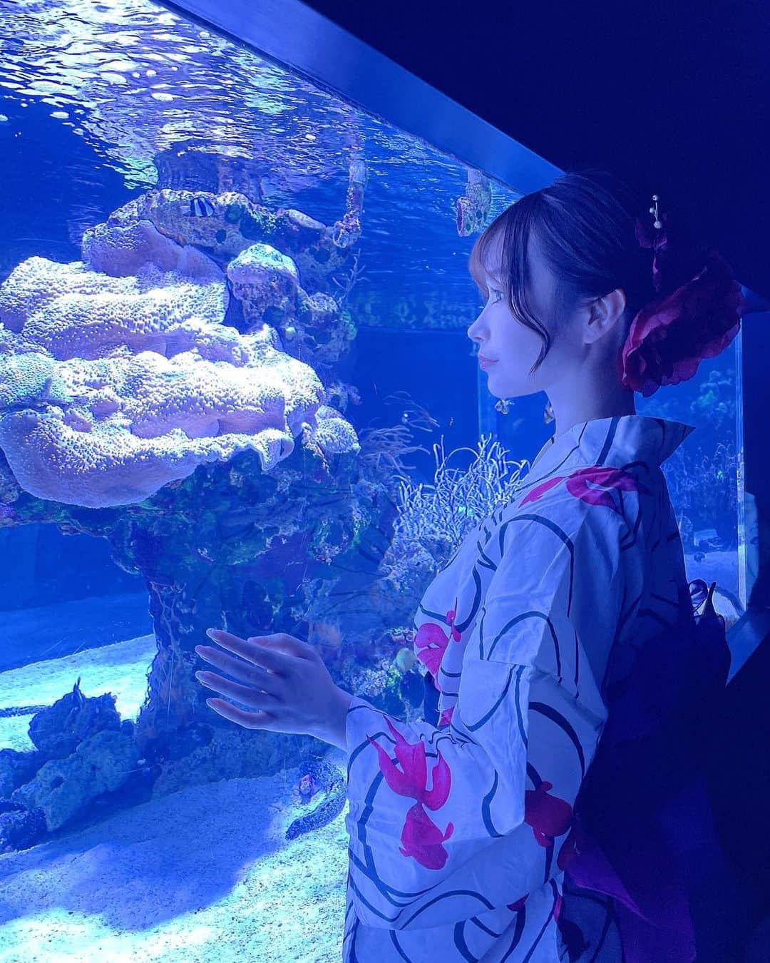 吉見衣世さんのインスタグラム写真 - (吉見衣世Instagram)「浴衣ですみだ水族館へ🐟💓  夜の水族館おすすめ！！！ 心が浄化されたー🐠✨✨✨  7/26〜8/16まで18時以降館内がブルーナイトアクアリウムに変わるよー☺️☺️  浴衣の写真沢山撮ったから今度載せるねーっ！！🍉  #すみだ水族館#夏の夜すい#夜の水族館#浴衣#チンアナゴ#ペンギン#クラゲ」8月8日 0時25分 - iyori_nu