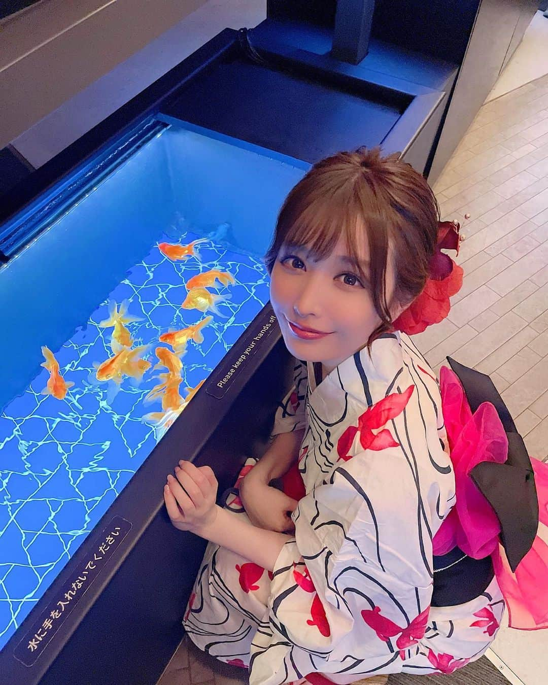 吉見衣世さんのインスタグラム写真 - (吉見衣世Instagram)「浴衣ですみだ水族館へ🐟💓  夜の水族館おすすめ！！！ 心が浄化されたー🐠✨✨✨  7/26〜8/16まで18時以降館内がブルーナイトアクアリウムに変わるよー☺️☺️  浴衣の写真沢山撮ったから今度載せるねーっ！！🍉  #すみだ水族館#夏の夜すい#夜の水族館#浴衣#チンアナゴ#ペンギン#クラゲ」8月8日 0時25分 - iyori_nu