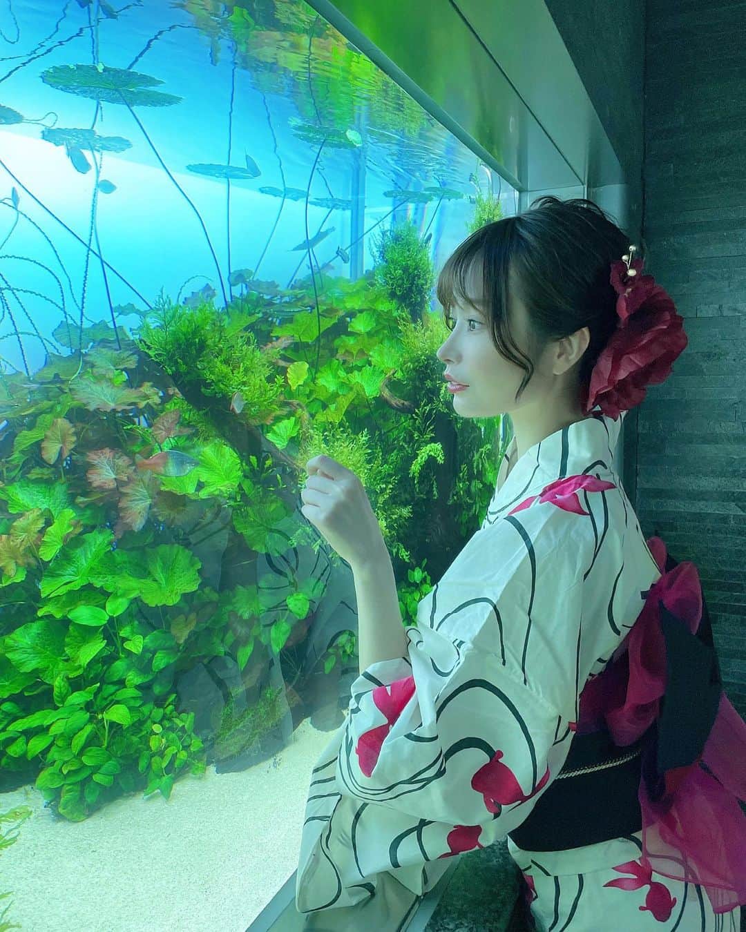 吉見衣世のインスタグラム：「浴衣ですみだ水族館へ🐟💓  夜の水族館おすすめ！！！ 心が浄化されたー🐠✨✨✨  7/26〜8/16まで18時以降館内がブルーナイトアクアリウムに変わるよー☺️☺️  浴衣の写真沢山撮ったから今度載せるねーっ！！🍉  #すみだ水族館#夏の夜すい#夜の水族館#浴衣#チンアナゴ#ペンギン#クラゲ」