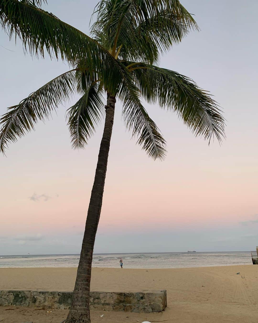 飯島寛子さんのインスタグラム写真 - (飯島寛子Instagram)「Good morning from Hawaii. Stretch in the sea. stretching〜stretching! 今日もよい日でね ＃朝活　#hawaiilife #椰子の木 #カイマナビーチ」8月8日 4時02分 - hirokoiijima