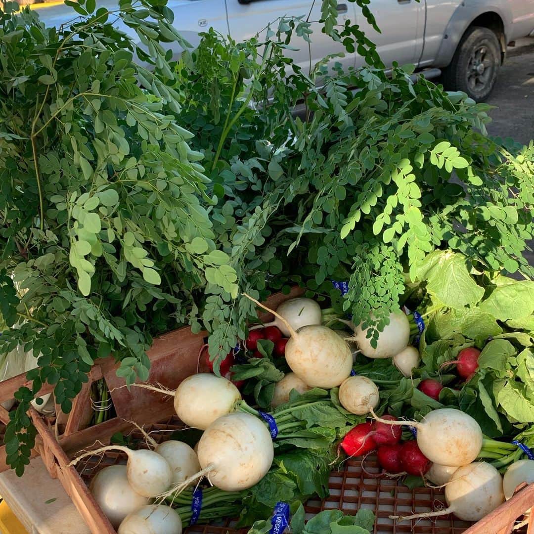 飯島寛子さんのインスタグラム写真 - (飯島寛子Instagram)「この2週間、徹底的に冷蔵庫の中を空にしたので、今日は本気モードでお買い物しまくりデー！ たくさんのyou tuberをお見かけしました。 #野菜倶楽部　#otsugifarms #pitfarm #kccfarmersmarket #hawaiilife  #aikanecoffee #カウコーヒー」8月8日 4時16分 - hirokoiijima