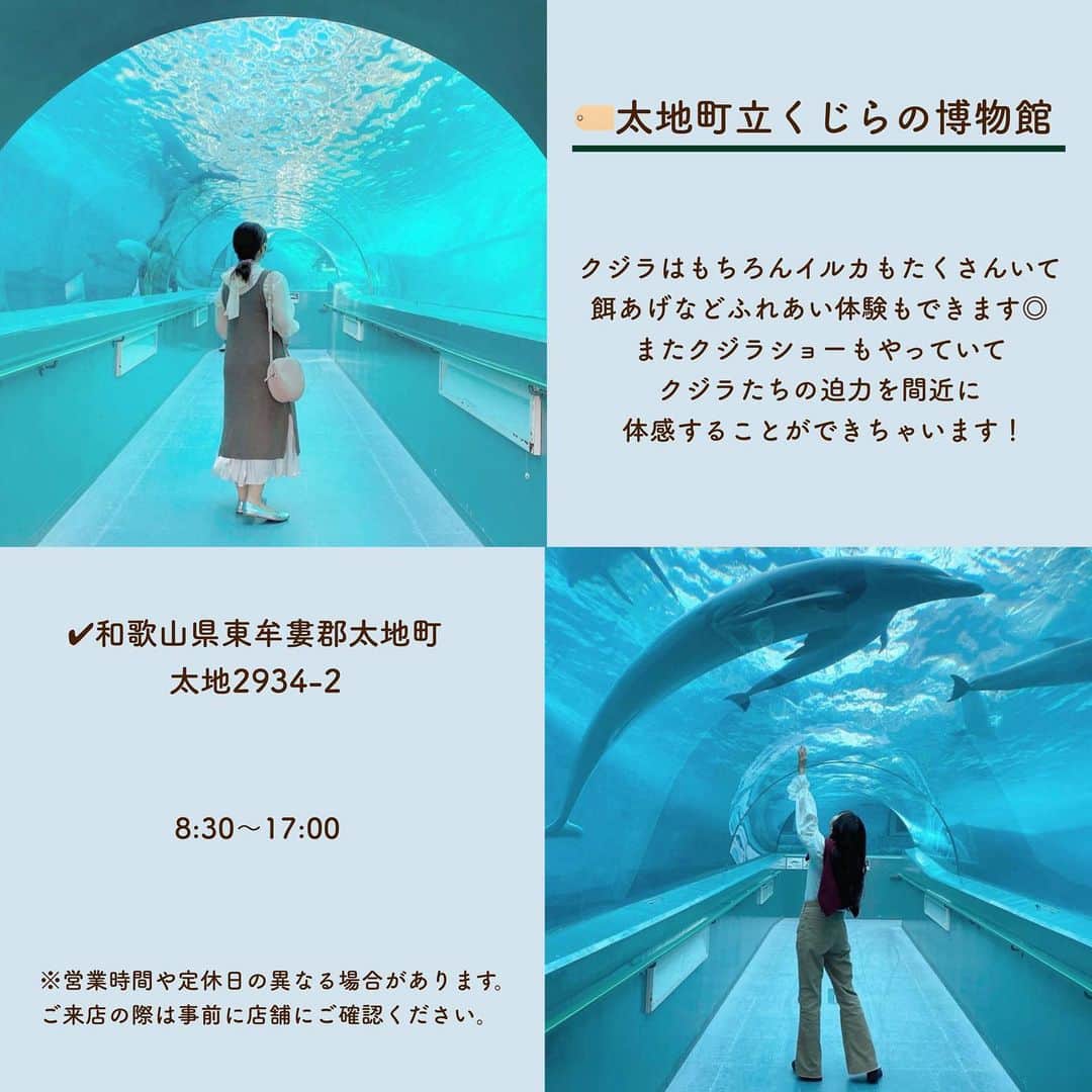 SUCLEさんのインスタグラム写真 - (SUCLEInstagram)「#西日本おすすめ水族館5選 ⁡ 今回は、 西日本のおおすめ水族館5選をご紹介します💁🏻‍♂️🤍  どの水族館もとっても魅力的ですね🐟 ぜひチェックしてみてくださいᐝ  ※新型コロナウイルス感染拡大防止のため節度ある行動とともに、マスクの着用など感染拡大防止にご協力お願いいたします。 ⁡ ⁡ photo by @sw0115_ @ykn2002 @me_____1106 @tagtag_kanakana @shiomi_1225 @m___mimi_m @natsu_popo @eripateee @_99rrrrr @pyonpyonchipyon1216 ⁡ @sucle_ では紹介する写真を募集中👧🏻 タグ付けやハッシュタグをつけてくれた投稿からもピックアップした写真をリポストしています！ #sucle をつける か このアカウントをタグ付けして投稿してね📸 ⁡ #水族館#西日本水族館#dmmかりゆし水族館#太地町立くじらの博物館#四国水族館#のどじま臨海公園水族館#海響館#水族館#水族館デート#水族館好きな人と繋がりたい#水族館巡り #水族館デート #東京水族館 #デートスポット #休日の過ごし方 #週末の過ごし方 #素敵空間 #水族館好き #水族館巡り #水族館好きな人と繋がりたい #水族館大好き #水族館行きたい #水族館ガール#水族館レビュー #水族館デビュー #水族館フォト」8月8日 19時40分 - sucle_