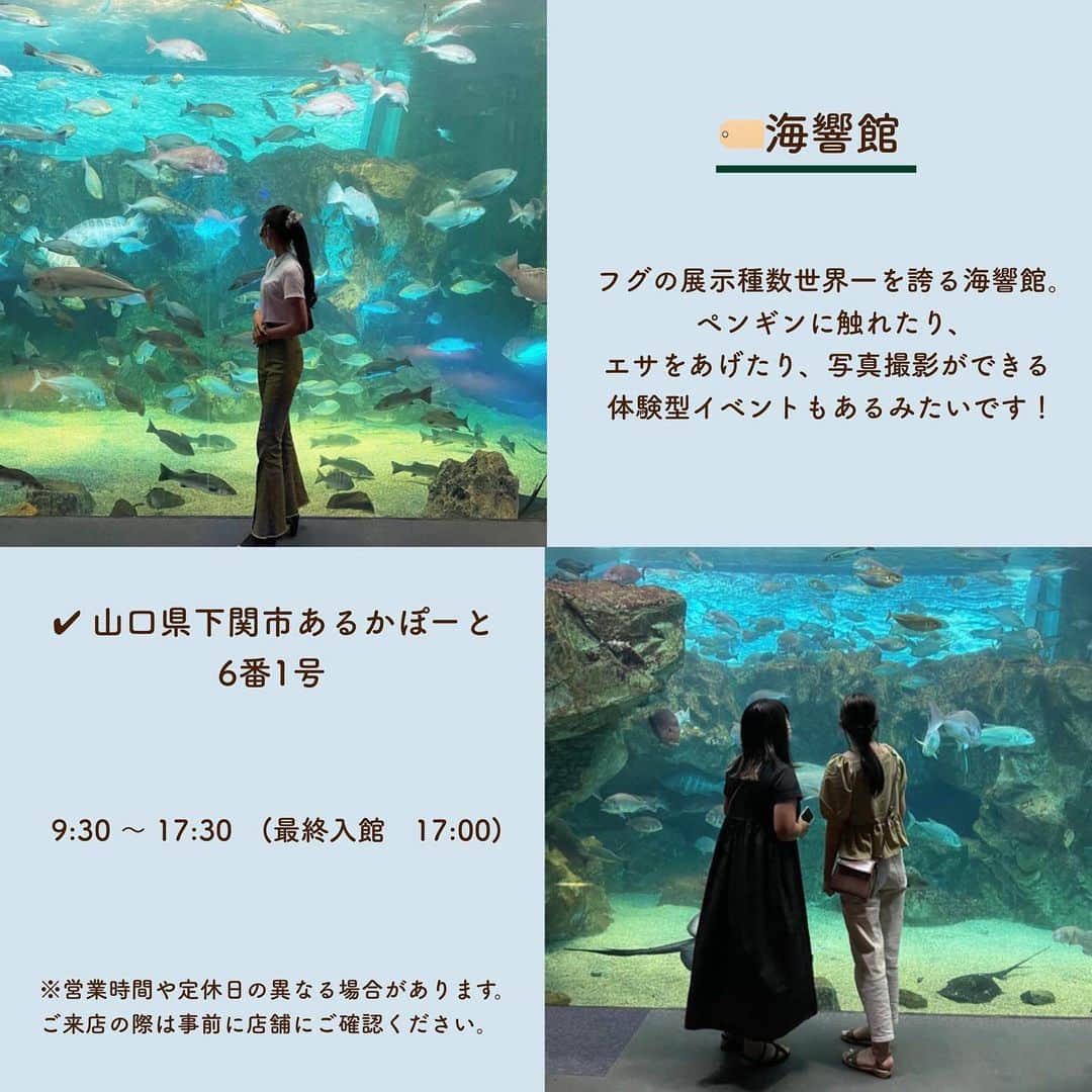 SUCLEさんのインスタグラム写真 - (SUCLEInstagram)「#西日本おすすめ水族館5選 ⁡ 今回は、 西日本のおおすめ水族館5選をご紹介します💁🏻‍♂️🤍  どの水族館もとっても魅力的ですね🐟 ぜひチェックしてみてくださいᐝ  ※新型コロナウイルス感染拡大防止のため節度ある行動とともに、マスクの着用など感染拡大防止にご協力お願いいたします。 ⁡ ⁡ photo by @sw0115_ @ykn2002 @me_____1106 @tagtag_kanakana @shiomi_1225 @m___mimi_m @natsu_popo @eripateee @_99rrrrr @pyonpyonchipyon1216 ⁡ @sucle_ では紹介する写真を募集中👧🏻 タグ付けやハッシュタグをつけてくれた投稿からもピックアップした写真をリポストしています！ #sucle をつける か このアカウントをタグ付けして投稿してね📸 ⁡ #水族館#西日本水族館#dmmかりゆし水族館#太地町立くじらの博物館#四国水族館#のどじま臨海公園水族館#海響館#水族館#水族館デート#水族館好きな人と繋がりたい#水族館巡り #水族館デート #東京水族館 #デートスポット #休日の過ごし方 #週末の過ごし方 #素敵空間 #水族館好き #水族館巡り #水族館好きな人と繋がりたい #水族館大好き #水族館行きたい #水族館ガール#水族館レビュー #水族館デビュー #水族館フォト」8月8日 19時40分 - sucle_