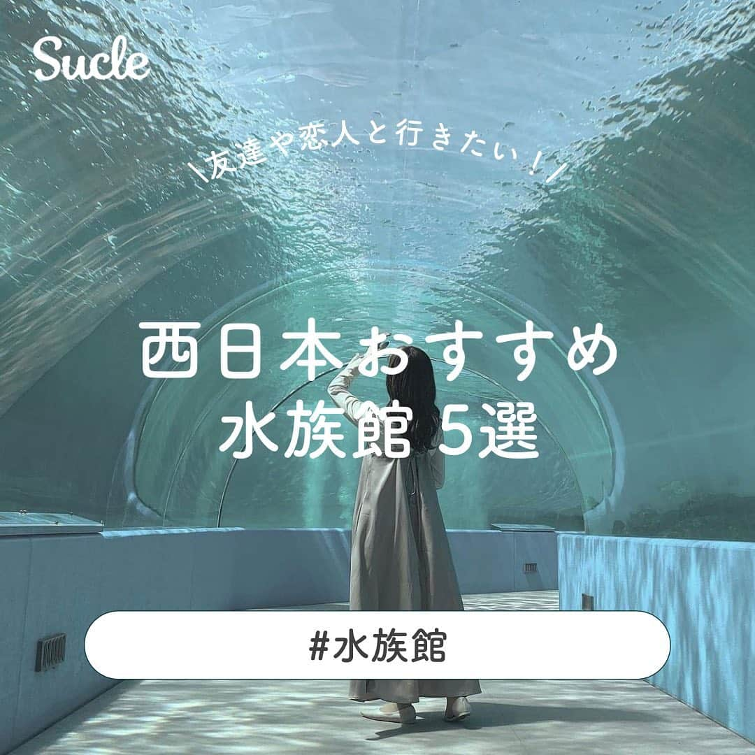 SUCLEのインスタグラム