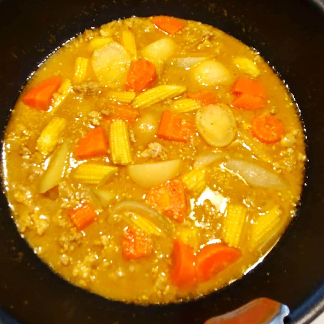 三瓶のインスタグラム：「イエローカレーを簡単に作りました…。  #イエローカレー #ロイタイ #カルディ #超簡単 #鶏ひき肉」