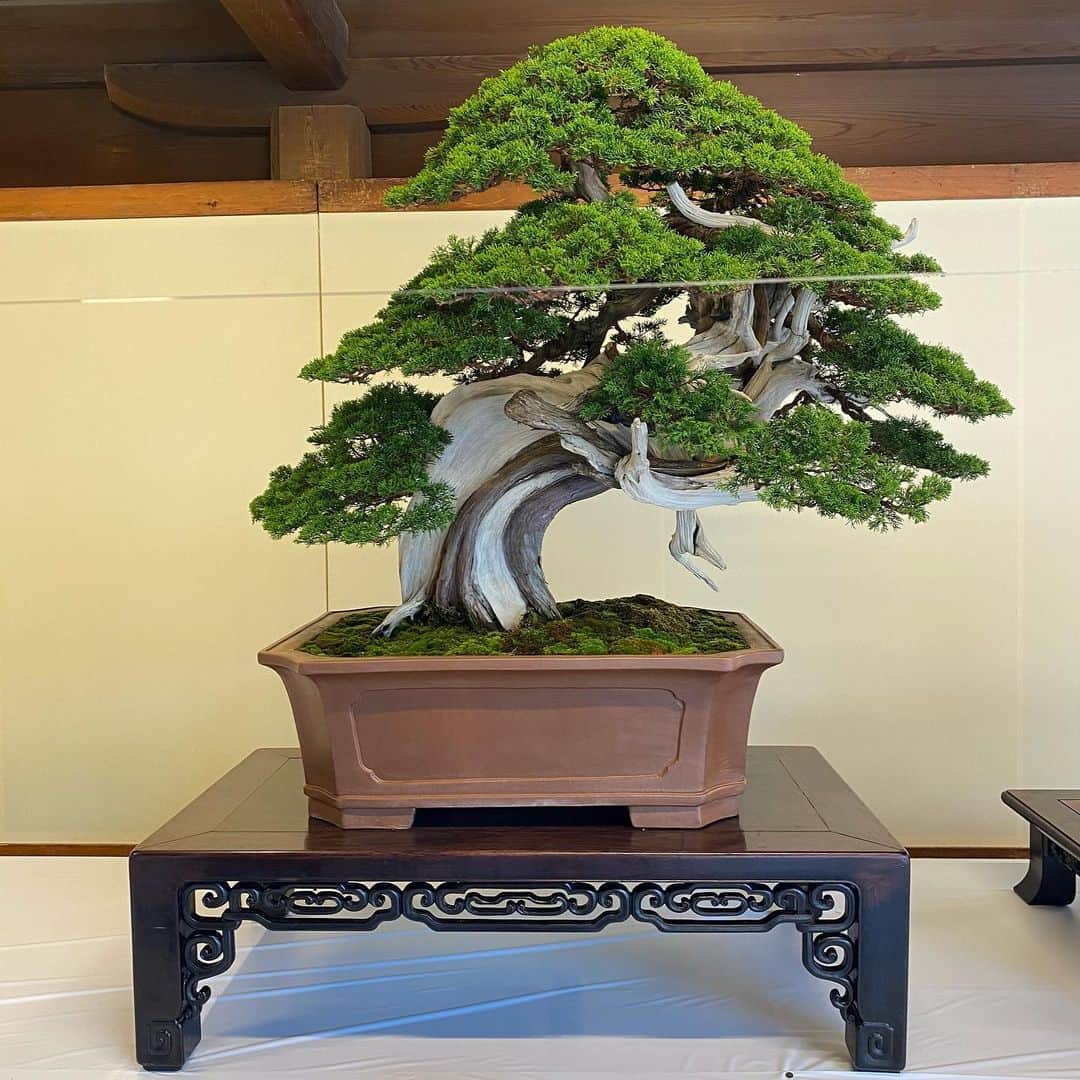 のインスタグラム：「🎍🎍🎍」