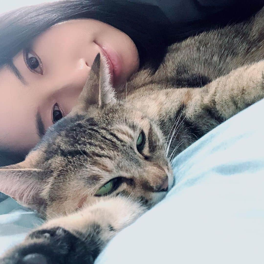 黒猫さんのインスタグラム写真 - (黒猫Instagram)「🐱みんにゃさん、きょうは「世界猫の日」なんだって❣️ 世界中のねこ、ねこじゃないいきものたちやにんげんも、みんなみんな幸せでありますように🐡 みんにゃさん家はねこいる❓ほかのすてきないきものは❓ よかったらちまこに紹介してね🐸 猫の日とくべつぐらびや🐙 2まいめは初めて黒猫ちゃんと出会った日のおさしんだよ🐳 さいごのは、黒猫ちゃんがずっと前にたすけた子たちで、他にもいろんな子がいて、みんながちゃんと幸せな「ちいきねこ」になれるようにお手伝いしてたんだって🦑❤️ 【追記】アップしたらなぜか一部の写真の画角がおかしくなったみたい…？ごめんなさい〜🙏 Happy world cat day❤️🐱 #worldcatday #陰陽座 #onmyouza #麦わら猫」8月8日 15時15分 - kuroneko_omz