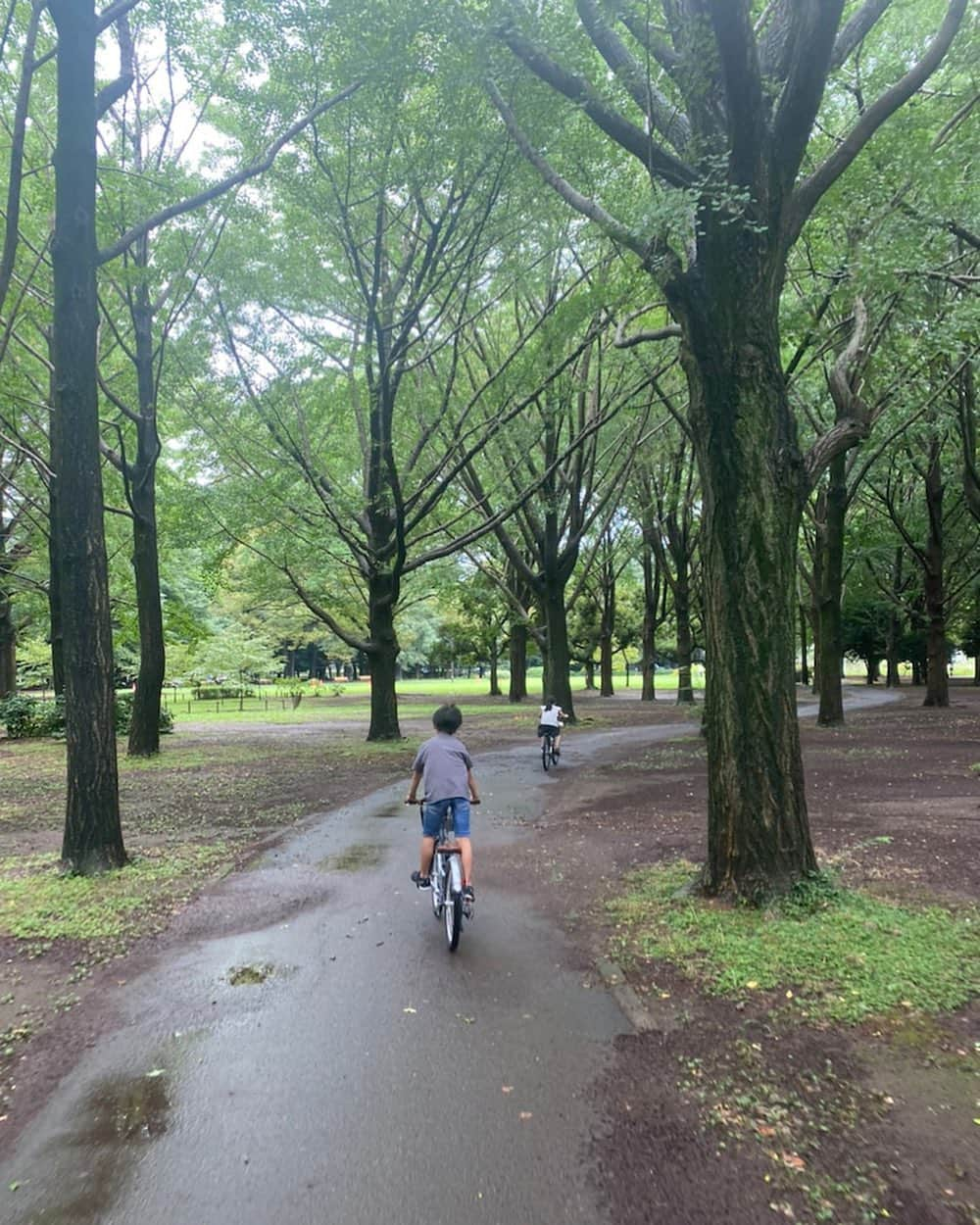 市川海老蔵 （11代目）さんのインスタグラム写真 - (市川海老蔵 （11代目）Instagram)「Enjoying the woods & full throttle✨ * 森林浴しながら 全速力✨  #市川海老蔵 #海老蔵 #成田屋 #歌舞伎　 #成長記録 #子育てぐらむ #子供のいる暮らし #子どものいる暮らし #子育て日記 #children #childphotography #daughter #son #ABKAI #ABMORI #ebizoichikawa #ebizo #kabuki #thunderparty #ebizotv #theater #theaterarts #actor #japan #classic」8月8日 16時43分 - ebizoichikawa.ebizoichikawa