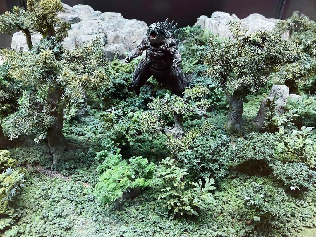 中島翔子のインスタグラム：「GODZILLA earth.」