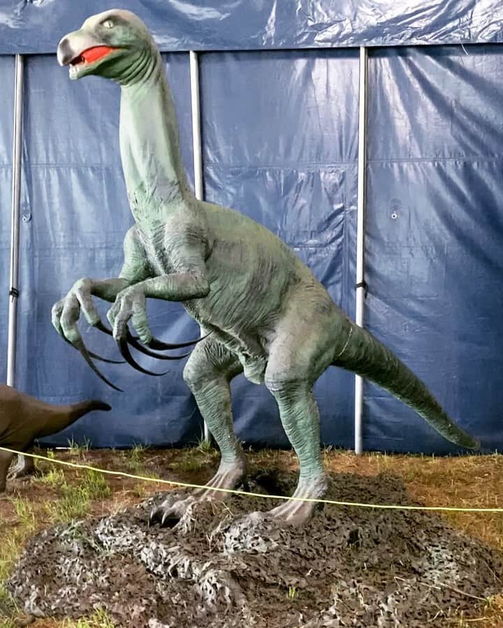 グスタフ・シェーファーのインスタグラム
