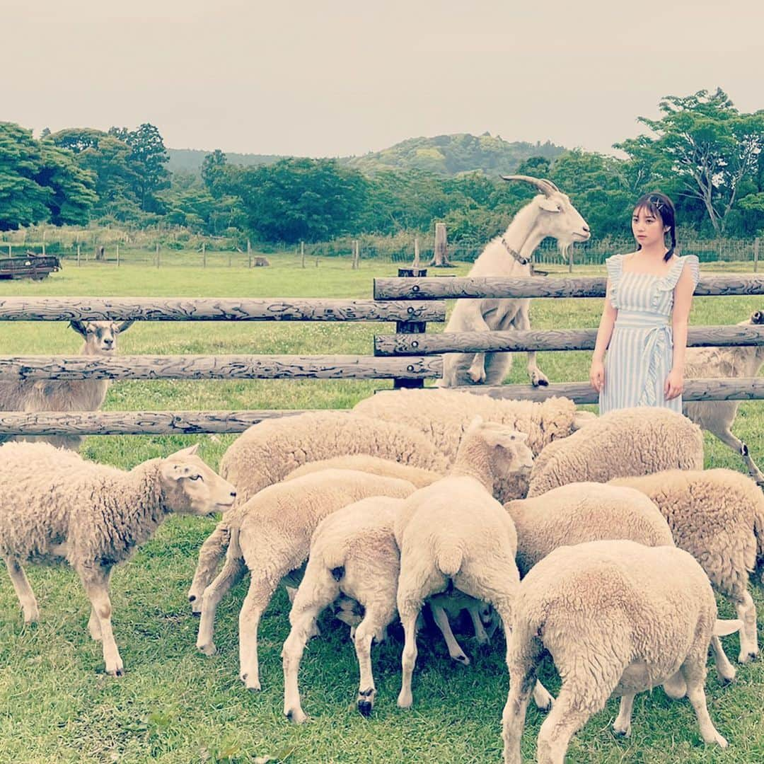 与田祐希さんのインスタグラム写真 - (与田祐希Instagram)「#ホワイトグラフ　発売中です🍃 表紙と56ページのグラビアを載せていただいています！ 自然の中で、幸せな撮影でした〜🐰 動画も写真もたくさん撮ってもらったので載せますね！  #FRIDAY にも、表紙とアザーカットをおさめたプレミアminiブックが付いていますのでぜひチェックお願いします✨」8月9日 8時38分 - yodayuuki_oimo