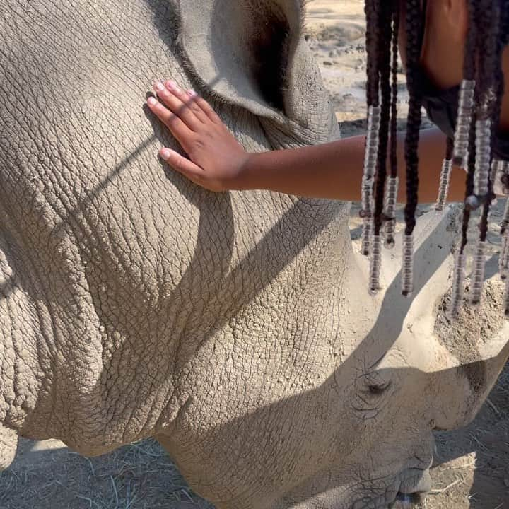 デマーカス・カズンズのインスタグラム：「Super cool experience today at @sdzsafaripark. My family and I really enjoyed the safari tour!  #wildlifeallies #sdzsafaripark」