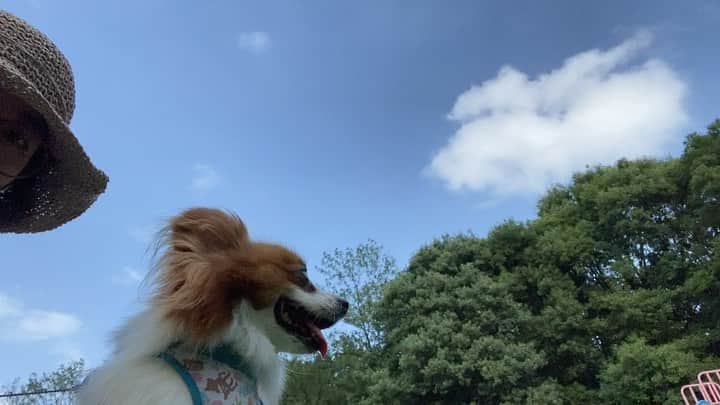 いとうかなこのインスタグラム：「台風早く消えろ〜〜〜〜〜🙏みなさんこんにちは🙋‍♀️🐶☀️✨」