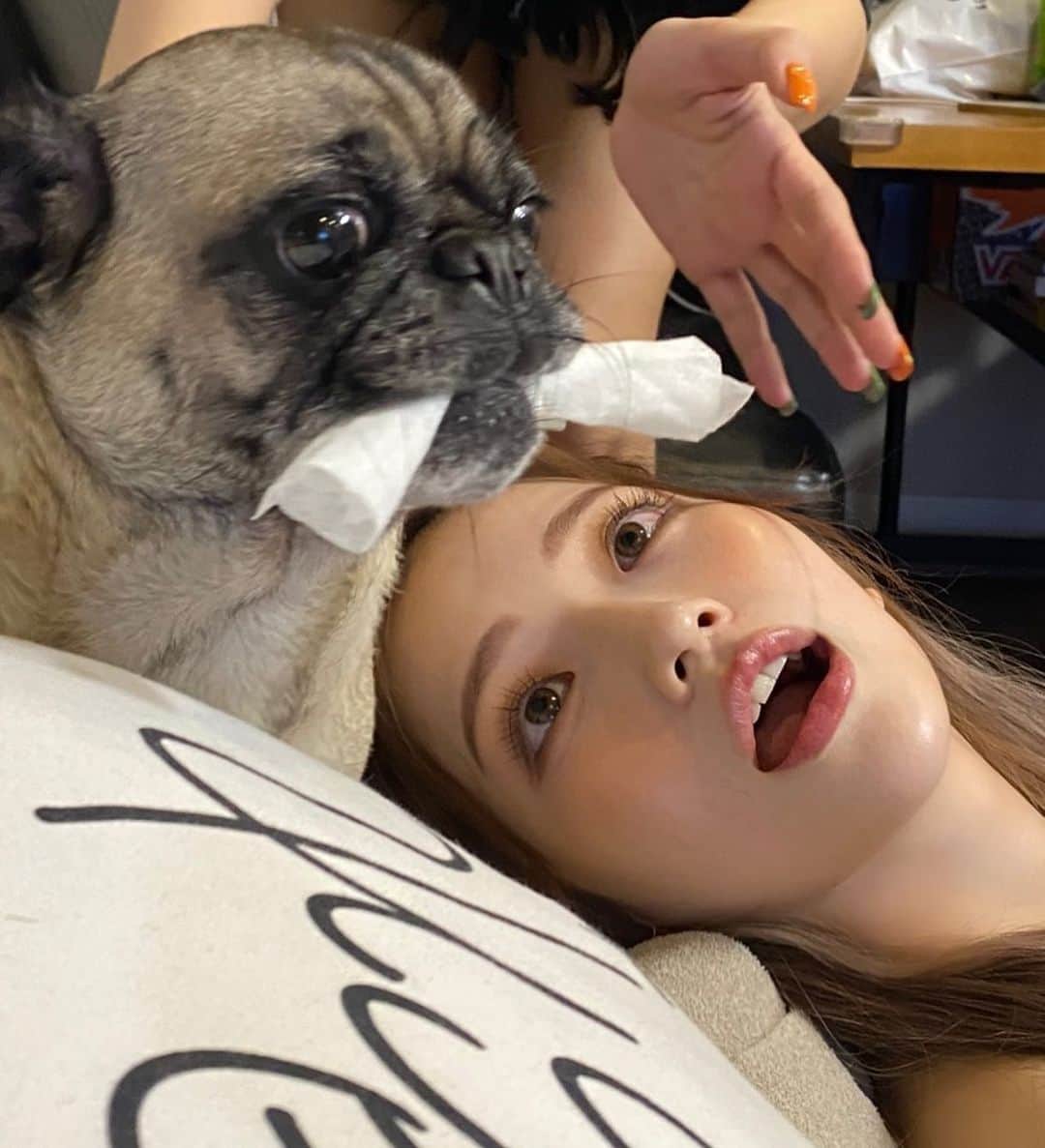 南りほのインスタグラム：「色々騒がしい絵面ですが、ふくちゃんと私🧐 顔が近い、、か、可愛いすぎる🥺 この時はずっとこのハチマキがお気に入りみたいだった😂」