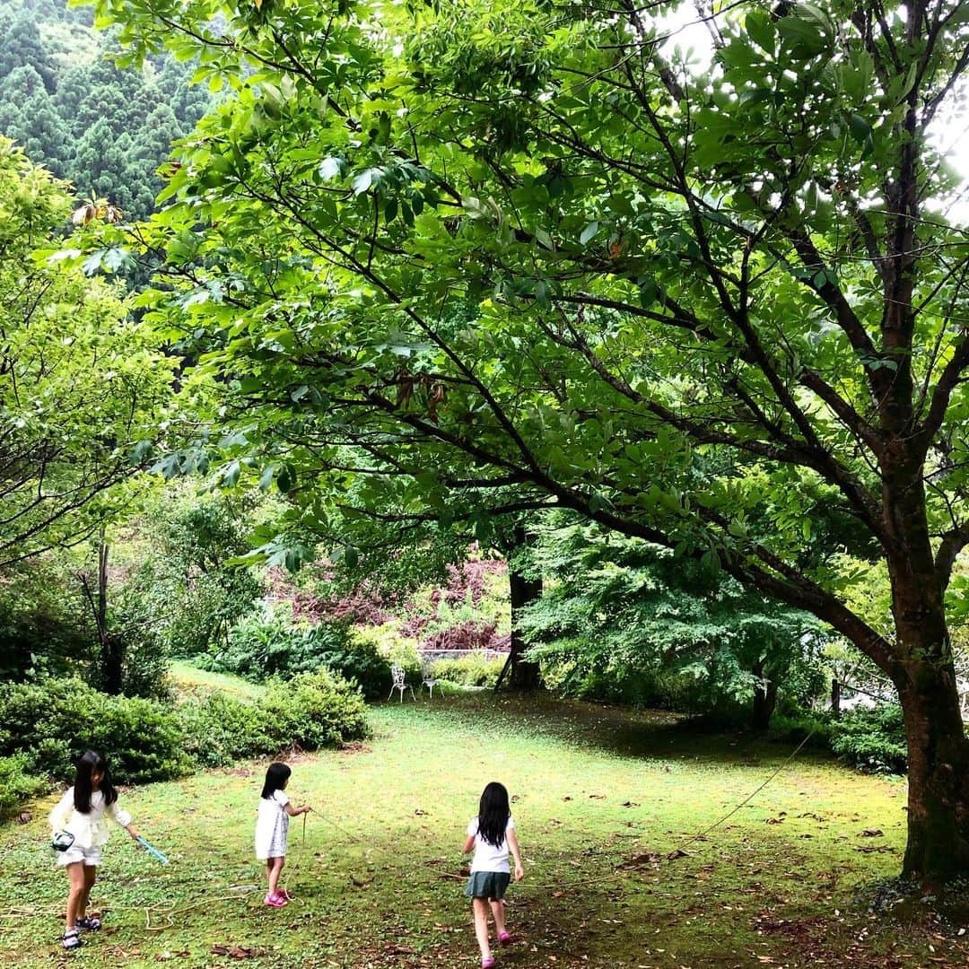 松尾翠さんのインスタグラム写真 - (松尾翠Instagram)「毎日がアースデイ🌎  ミョウガさがし！  雨あがり✨  #senseofwonderkyoto #毎日がアースデイ #京都の夏 #自然と暮らす #自然と遊ぶ #自然派」8月9日 17時05分 - midori.matsuo_official