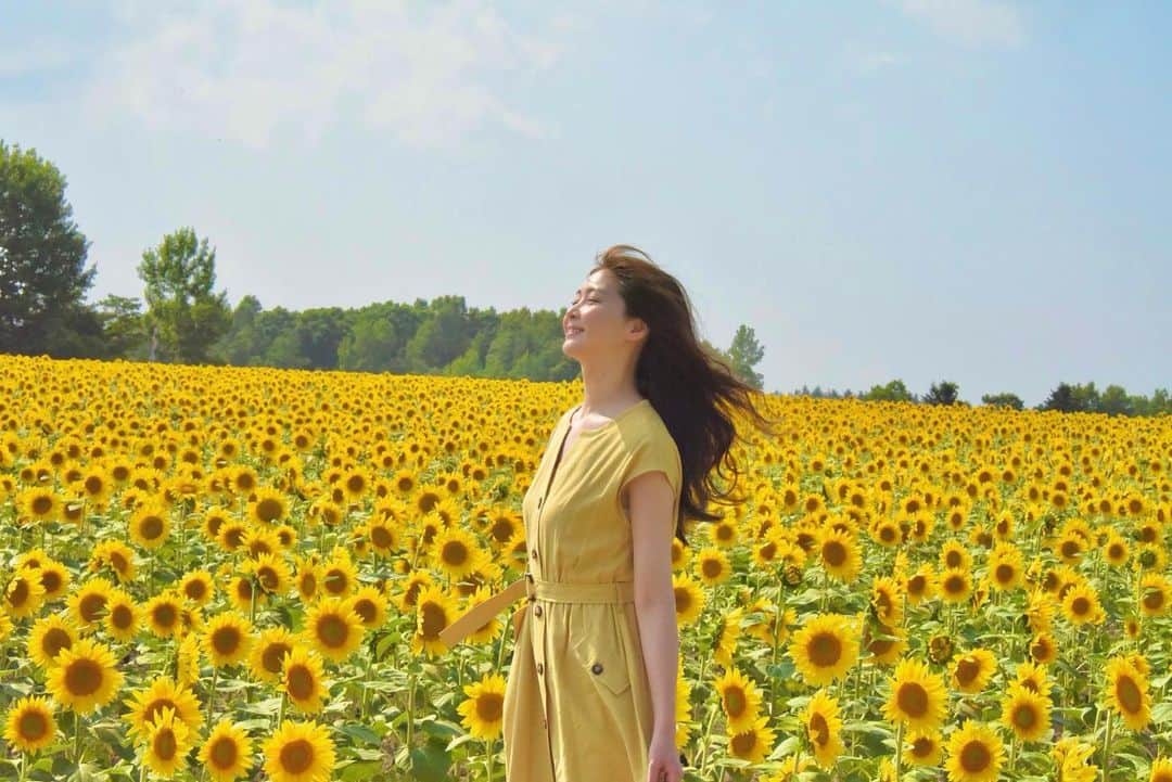 のインスタグラム：「． ひまわり畑に行ってきたー🥰🌻✨ ． ． ずっと行きたかった場所だったからうれぴ！ 天気も良くてきもちかったー☀️ ． ． ひまわりは一番好きな花！ いつも太陽の方向いて歩いていきたいって感じ＼(^o^)／ ． ． ． #家族旅行 #写真はお義兄さん #沢山撮ってもらったから #まとめて載せようと思ったけど #インスタの写真あんまないから #また載せるって感じ＼(^o^)／ #しばらくは黄色で埋め尽くされるかもすまぬ笑 #ひまわり畑 #また行きたいな🌻 #テーマ #風を感じる女＼(^o^)／」