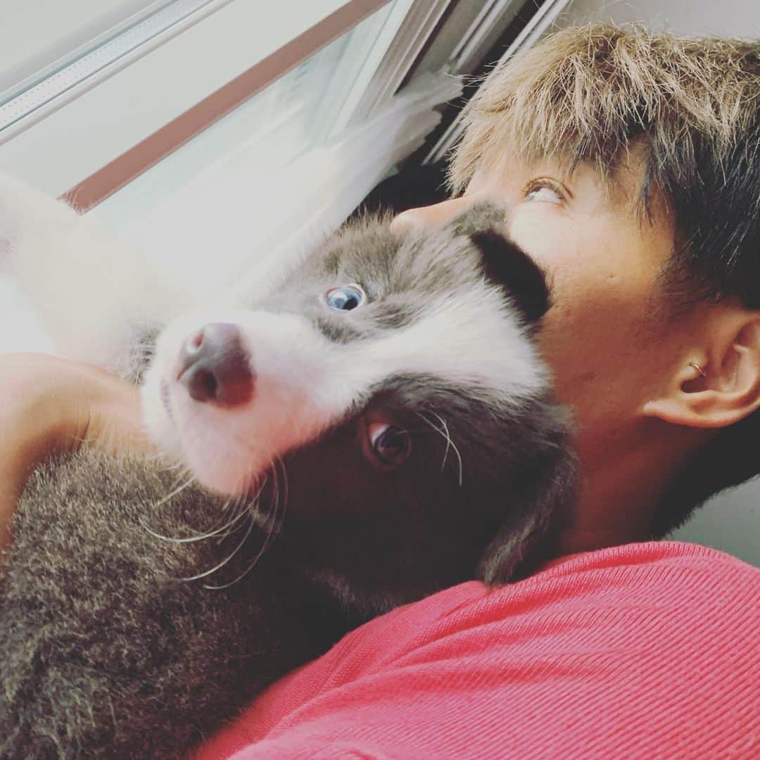 のインスタグラム：「窓さんぽ✴︎」