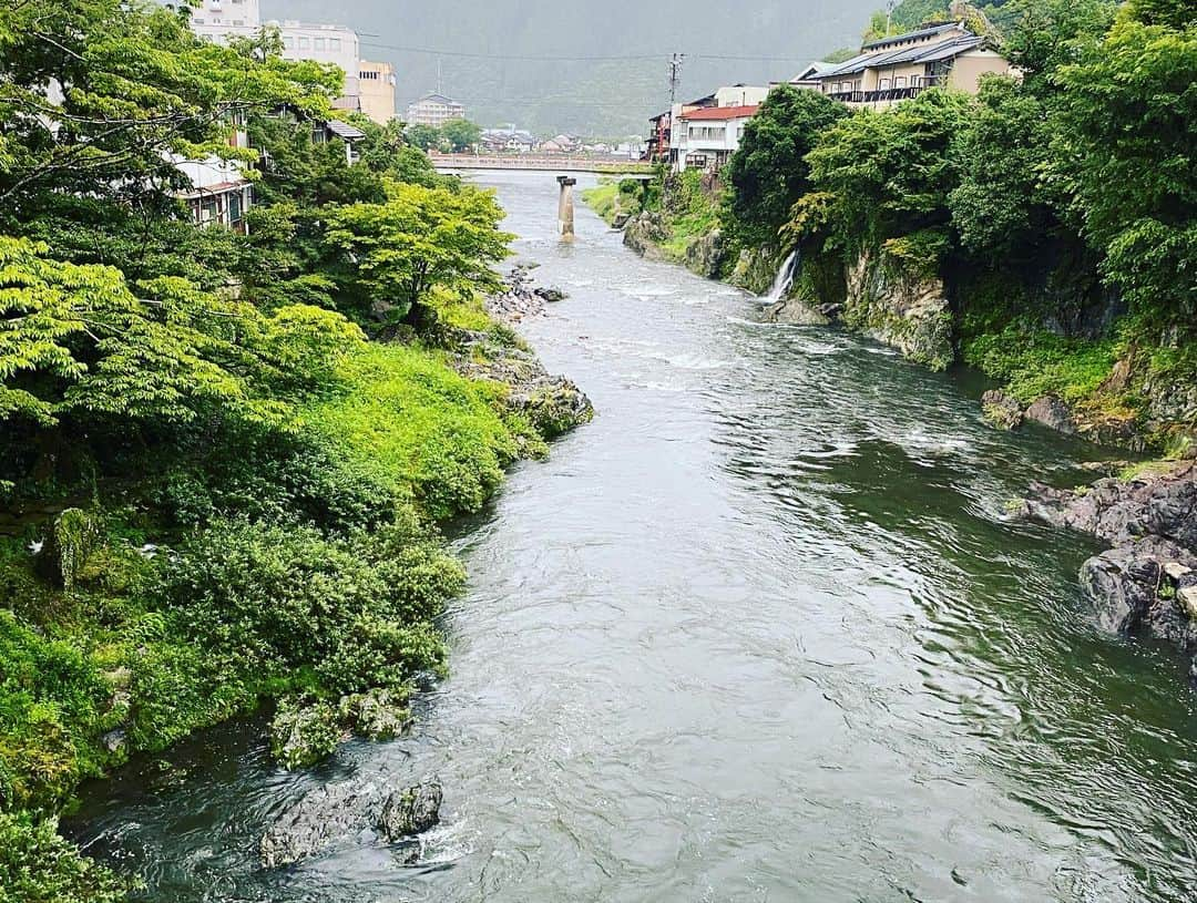 生稲晃子さんのインスタグラム写真 - (生稲晃子Instagram)「仕事で岐阜県郡上八幡に来ています🏞 いつもは澄んだきれいな川ですが、今日は雨のせいで少し濁っています。 それでも自然の美しさは十分感じさせてもらってますが…😂  鮎をいただきました😋 ふっくら身がつまっててとても美味しかったです〜👍👍 それも3尾‼️贅沢なお食事でした。  #岐阜県郡上八幡 #自然が美しい #鮎の塩焼き #美味しくいただきました」8月10日 14時24分 - akiko__ikuina