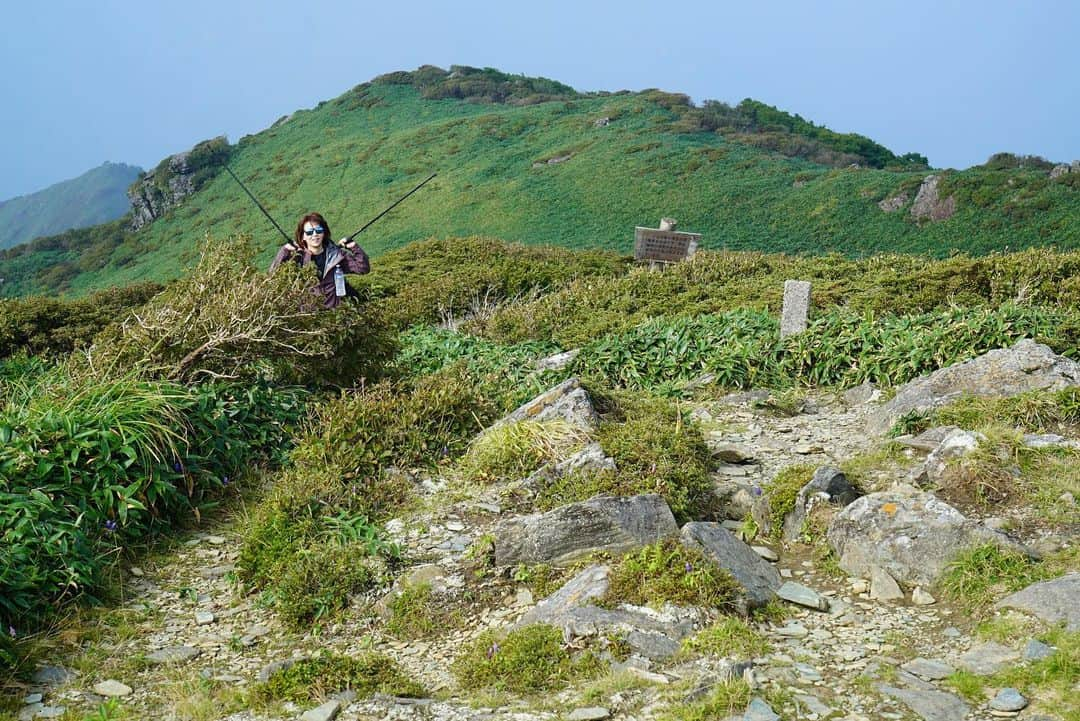 大橋未歩さんのインスタグラム写真 - (大橋未歩Instagram)「#山の日  4枚目。 これが土下座登山です。 いつかの四国の笹ヶ峰。  笹が深すぎて 足元が全く見えず 転ぶ転ぶ。 転びが平身低頭調なりすぎて ただの土下座になってしまいました。  天候が悪化したから 石鎚山登頂はすぐ諦めて 下山して瀬戸内海のしまなみ海道を巡った旅☺️  #緊急事態宣言  #明けたら  #登山  #行きたい ですね☺️ #行動食 は #あんこ　と #ビーフジャーキー」8月10日 14時31分 - o_solemiho815