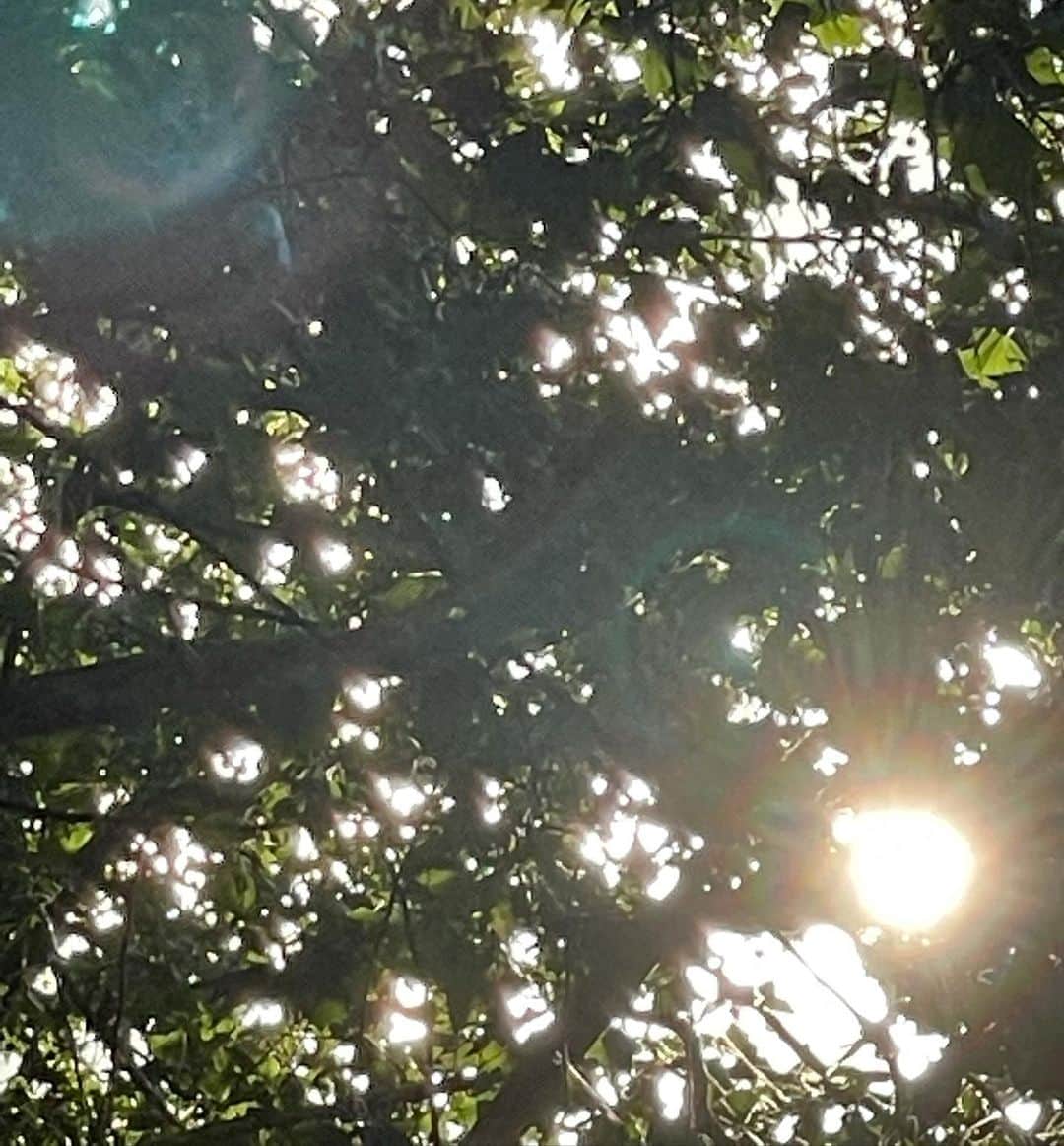 ジャン海渡さんのインスタグラム写真 - (ジャン海渡Instagram)「Sun bubbles」8月10日 17時28分 - jjean_naejj